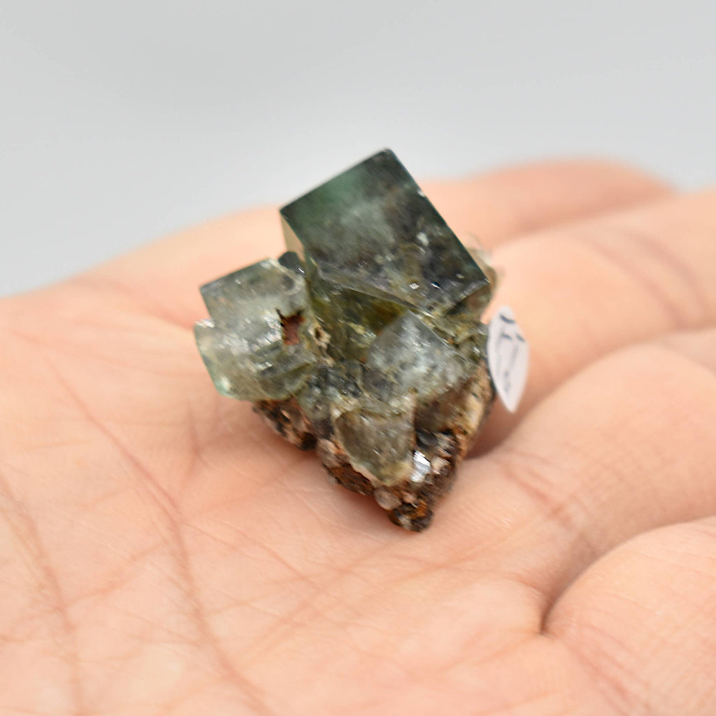 Diana Maria Fluorite Raw Crystal Cluster - 8 Sizes