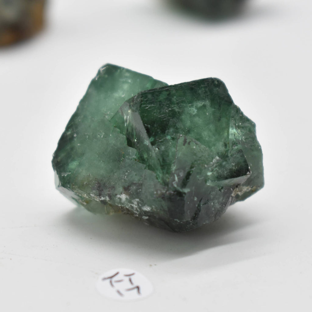 Diana Maria Fluorite Raw Crystal Cluster - 8 Sizes