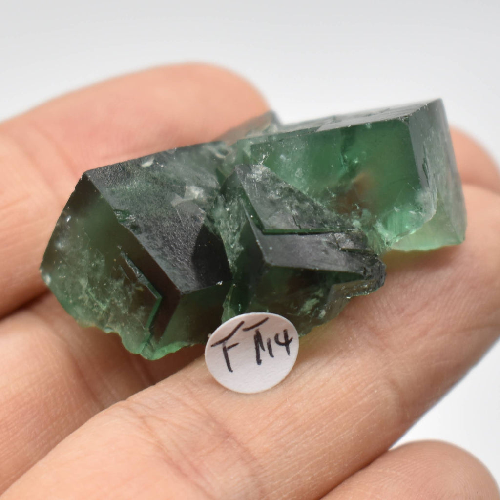 Diana Maria Fluorite Raw Crystal Cluster - 8 Sizes
