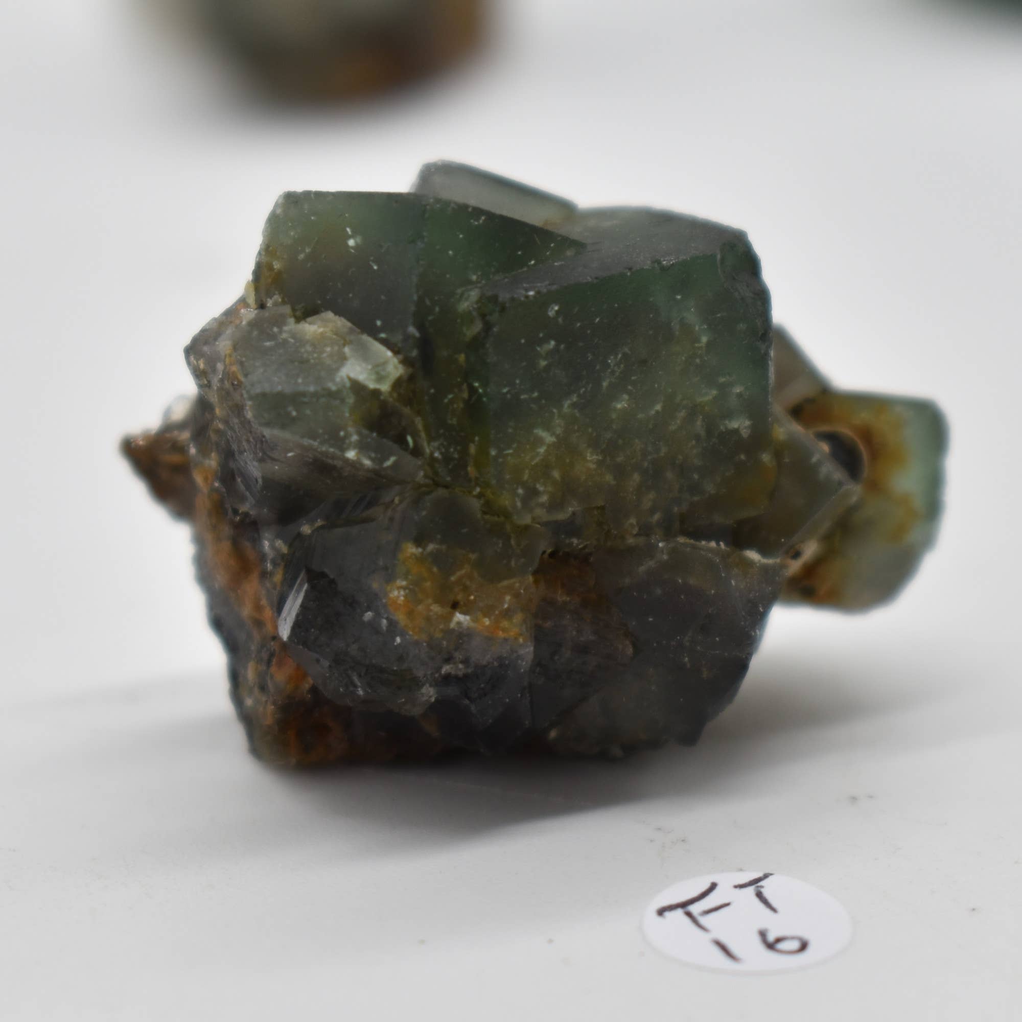 Diana Maria Fluorite Raw Crystal Cluster - 8 Sizes