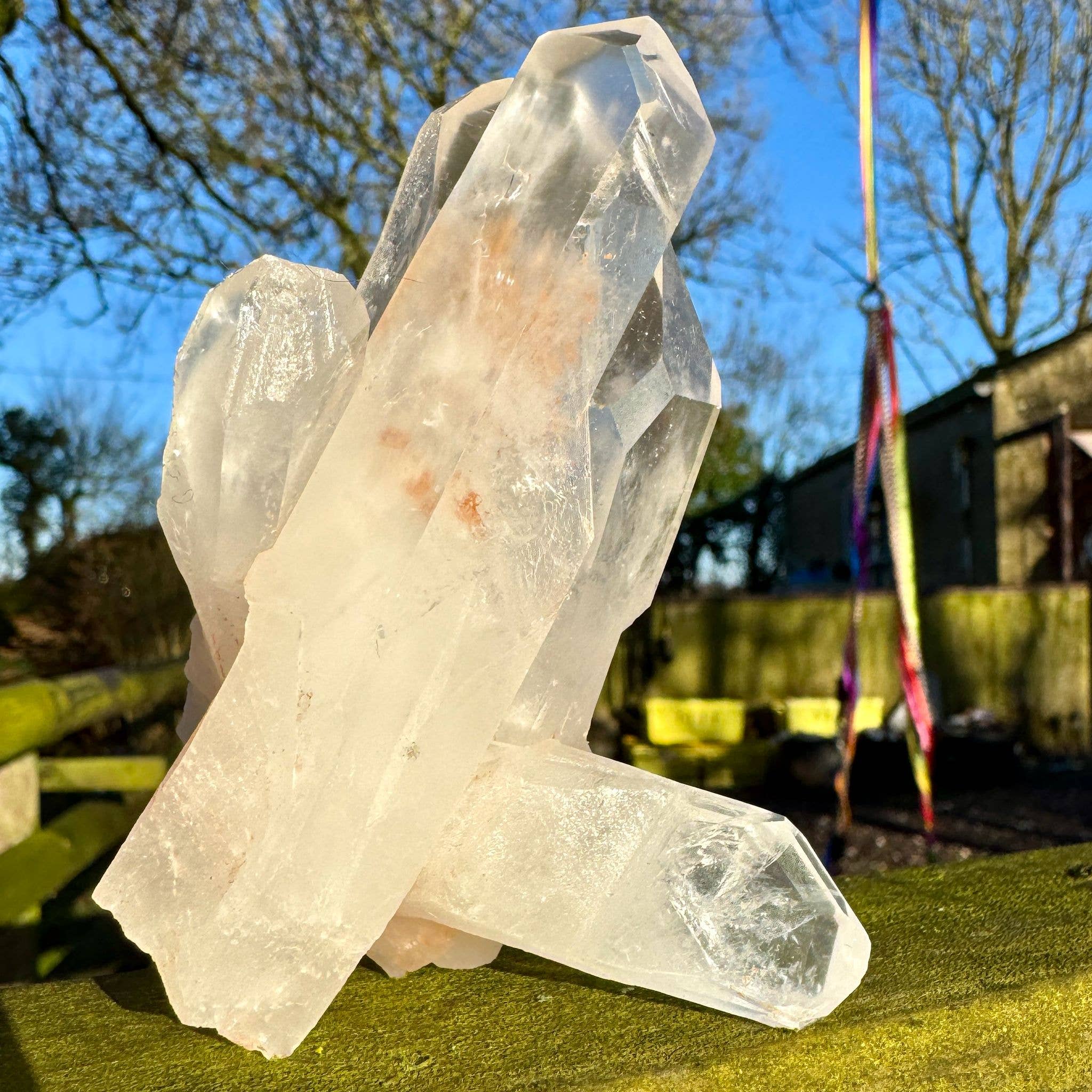 Quartz cluster 10cm called Reagan Clear Quartz point healer