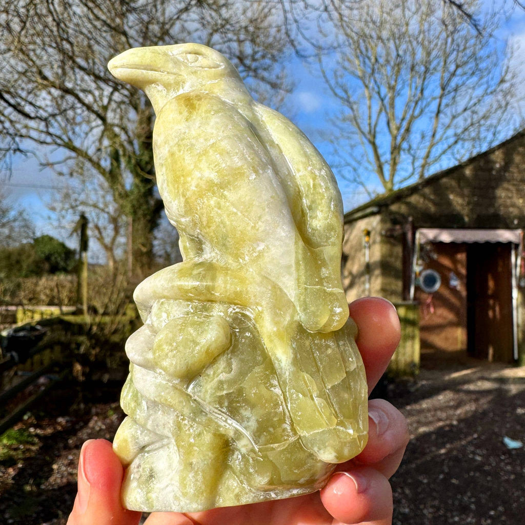 Crow on skull carving 10.4cm called Norse Jade stone crystal