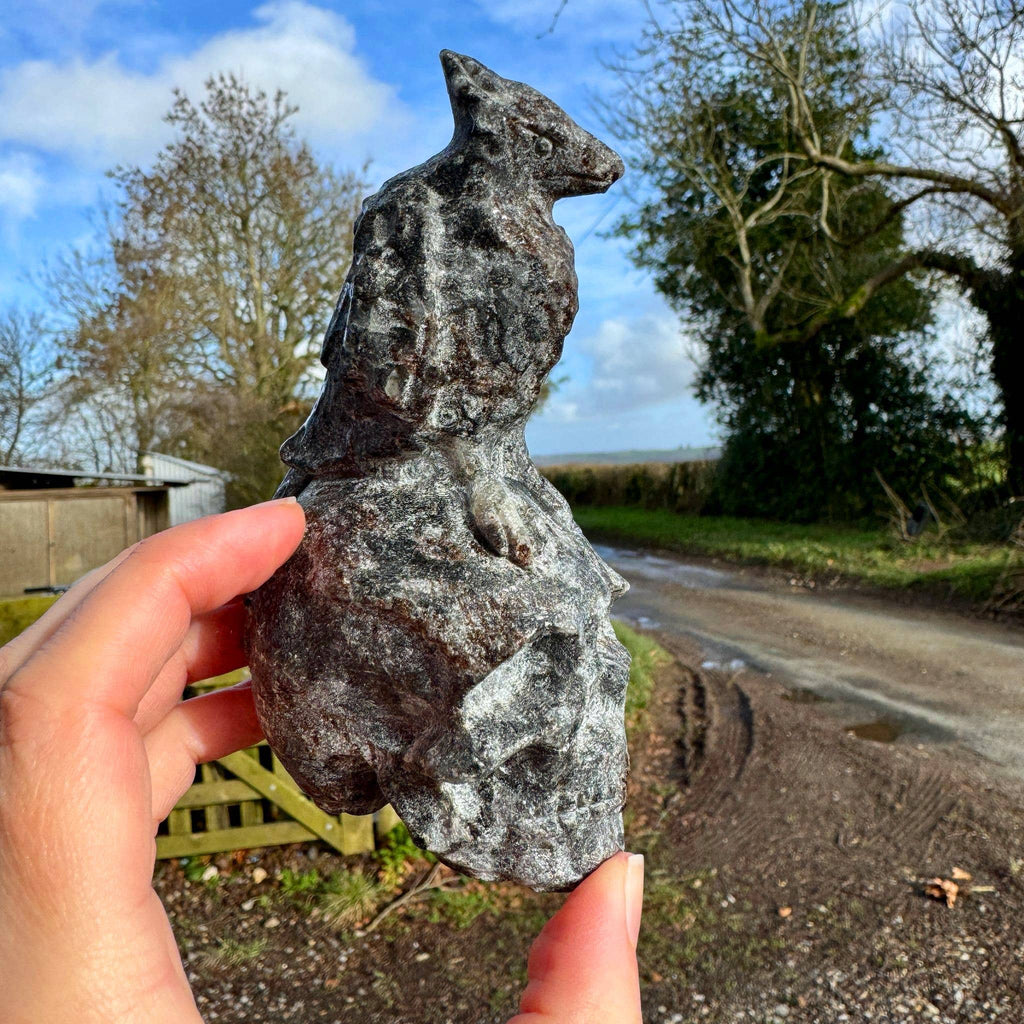Crow on Skull 10.4cm called Odin Carving in Black Tourmaline