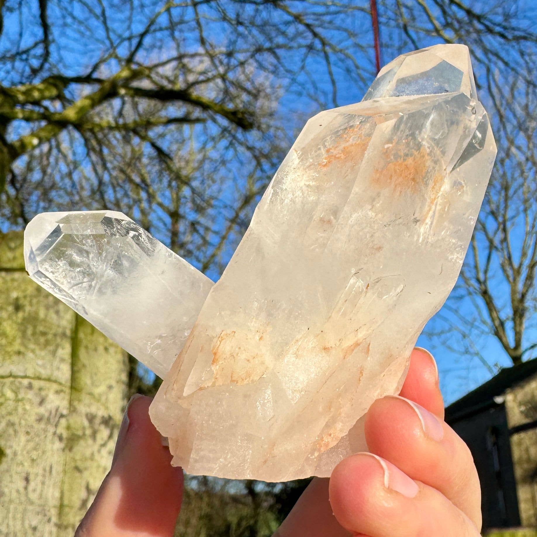 Quartz cluster 10cm called Reagan Clear Quartz point healer