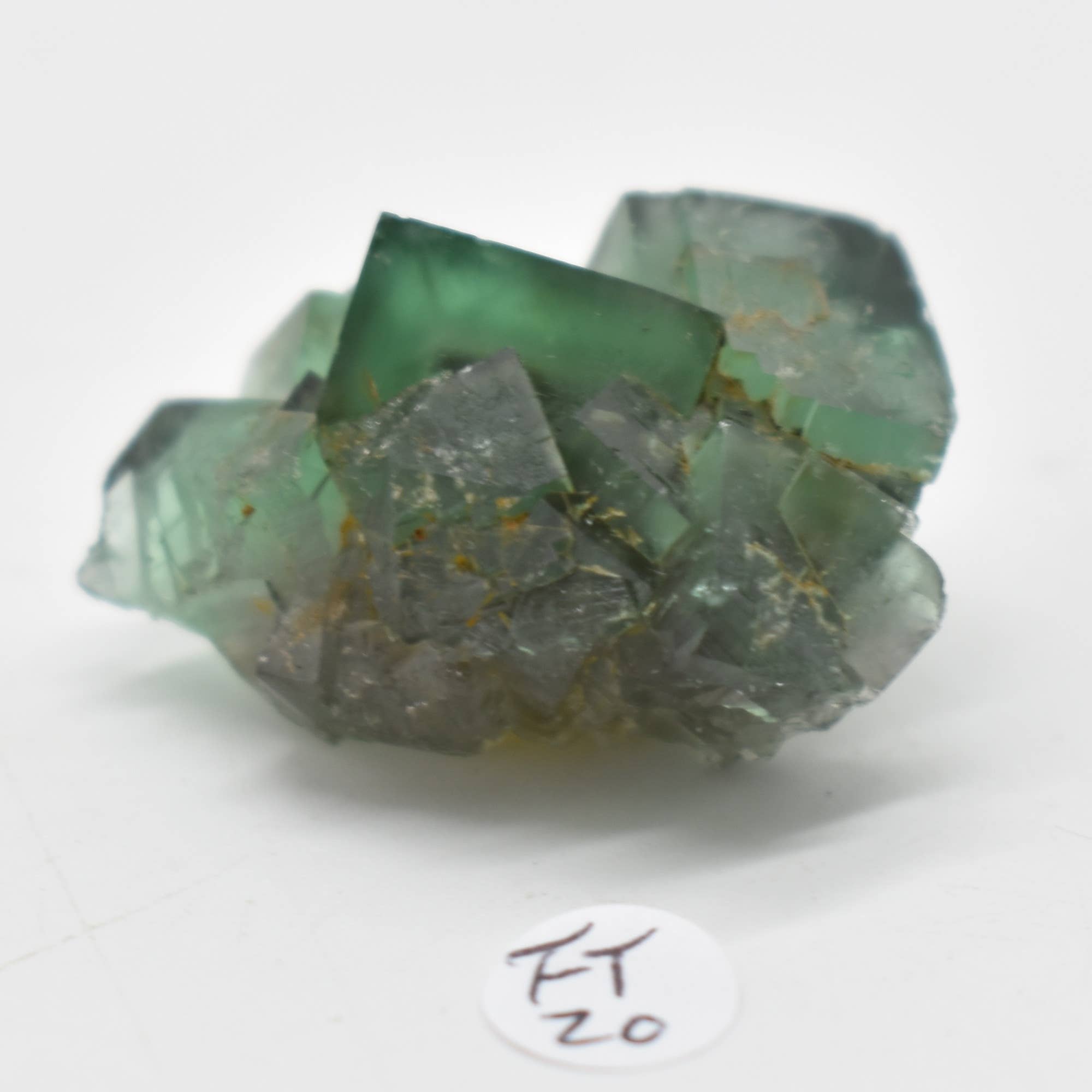 Diana Maria Fluorite Raw Crystal Cluster - 8 Sizes