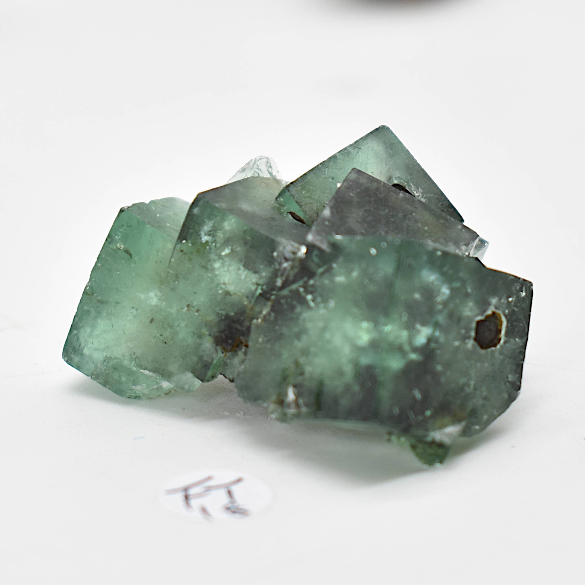 Diana Maria Fluorite Raw Crystal Cluster - 8 Sizes