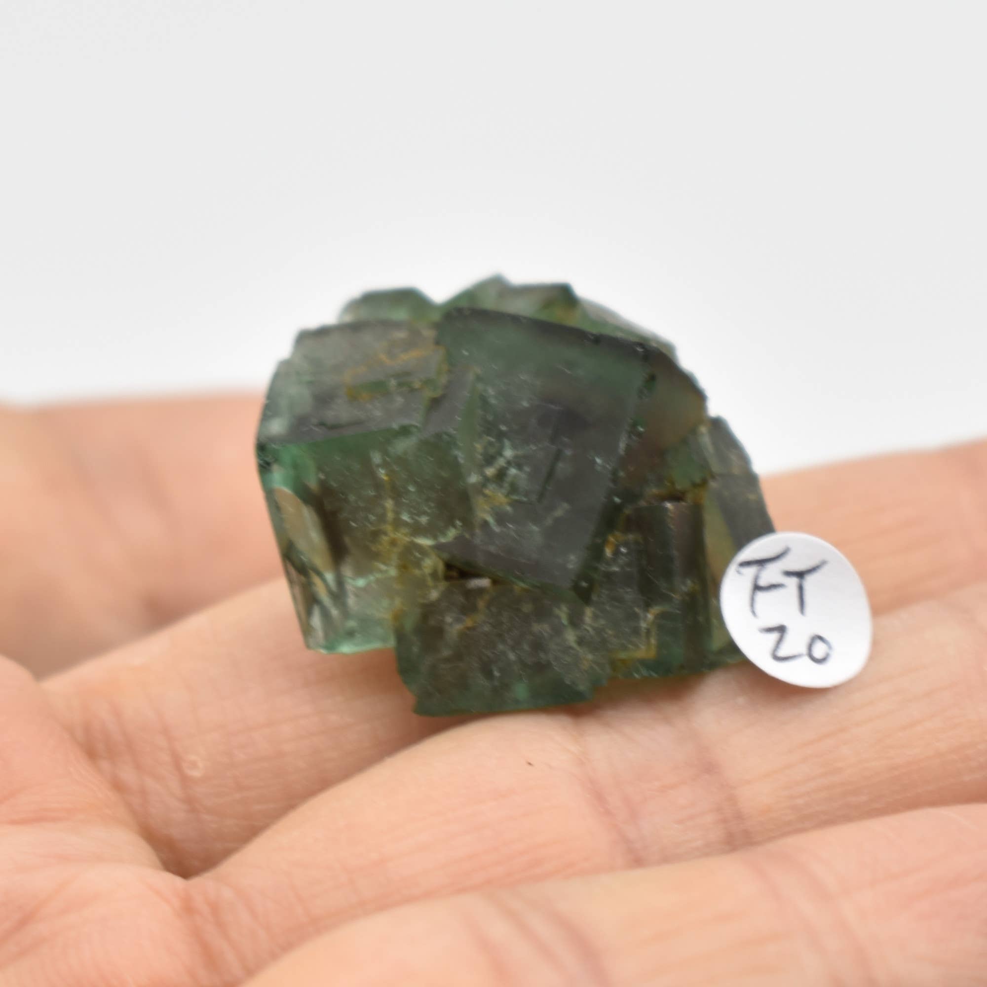 Diana Maria Fluorite Raw Crystal Cluster - 8 Sizes