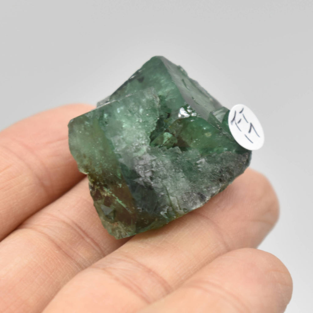 Diana Maria Fluorite Raw Crystal Cluster - 8 Sizes