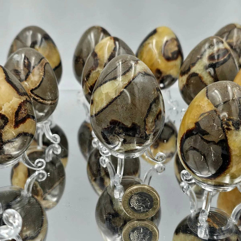 Septarian Crystal Egg