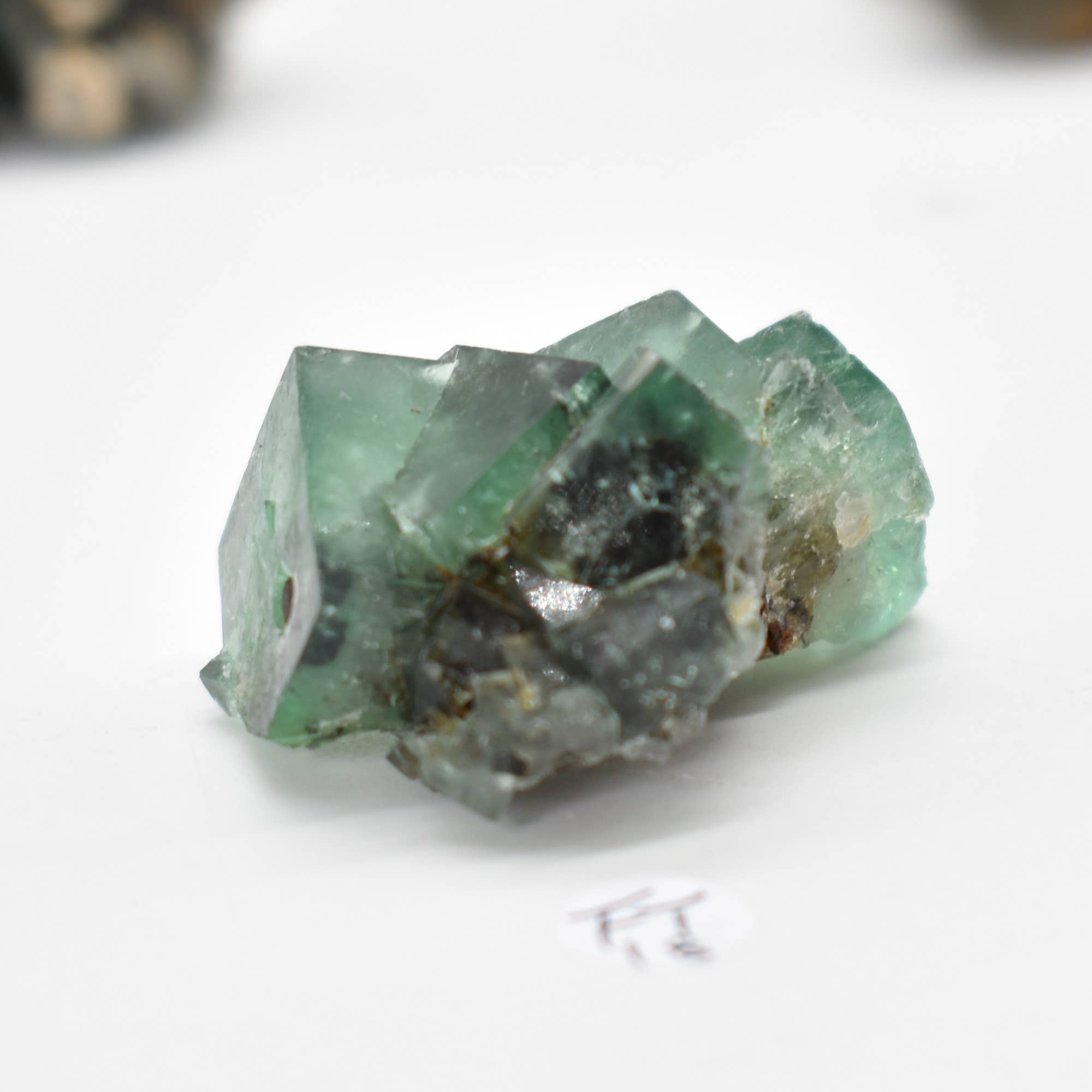 Diana Maria Fluorite Raw Crystal Cluster - 8 Sizes