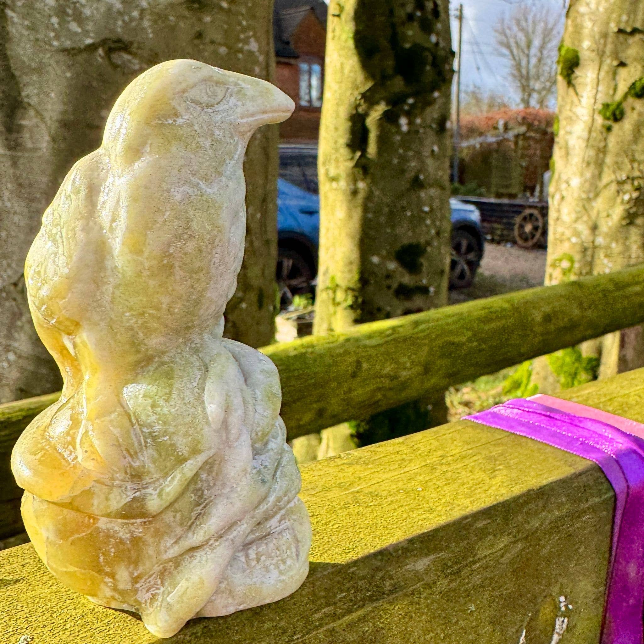 Crow on skull carving 10.4cm called Norse Jade stone crystal