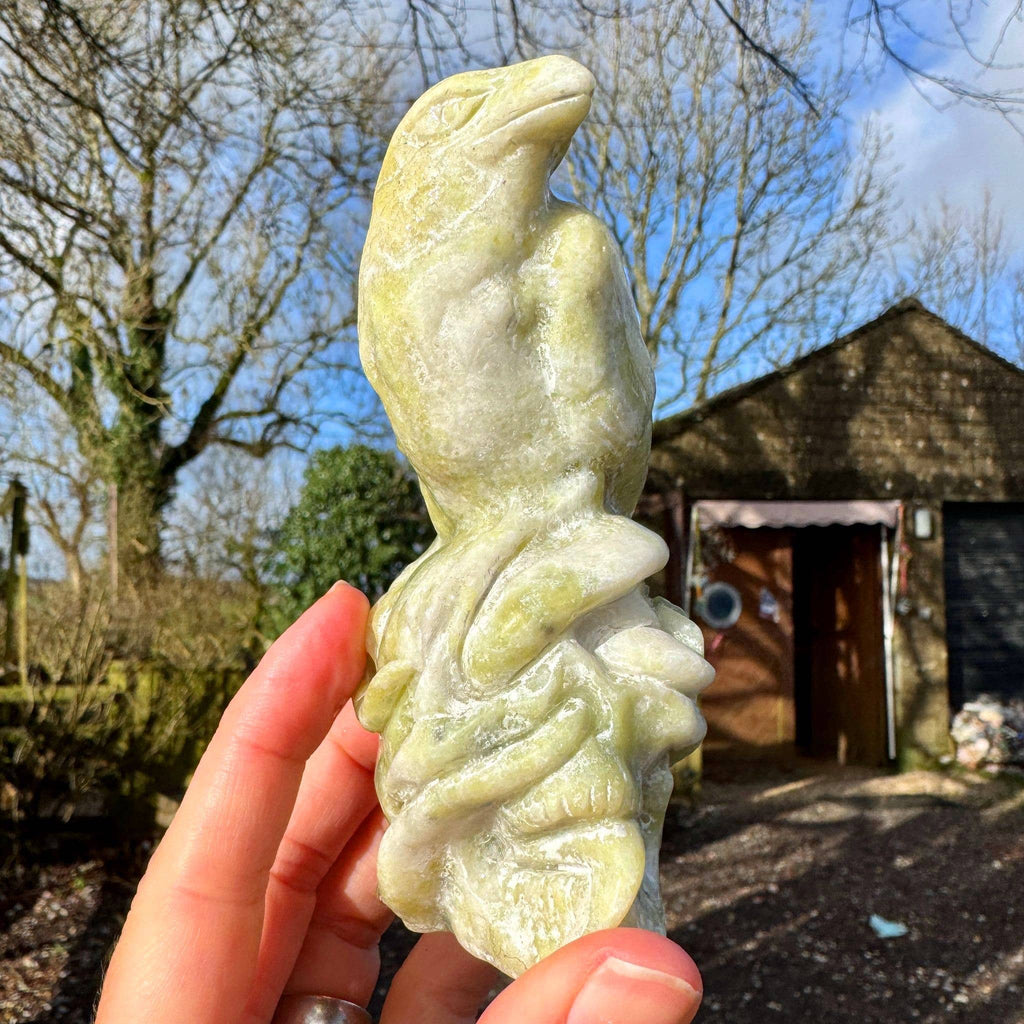Crow on skull carving 10.4cm called Norse Jade stone crystal