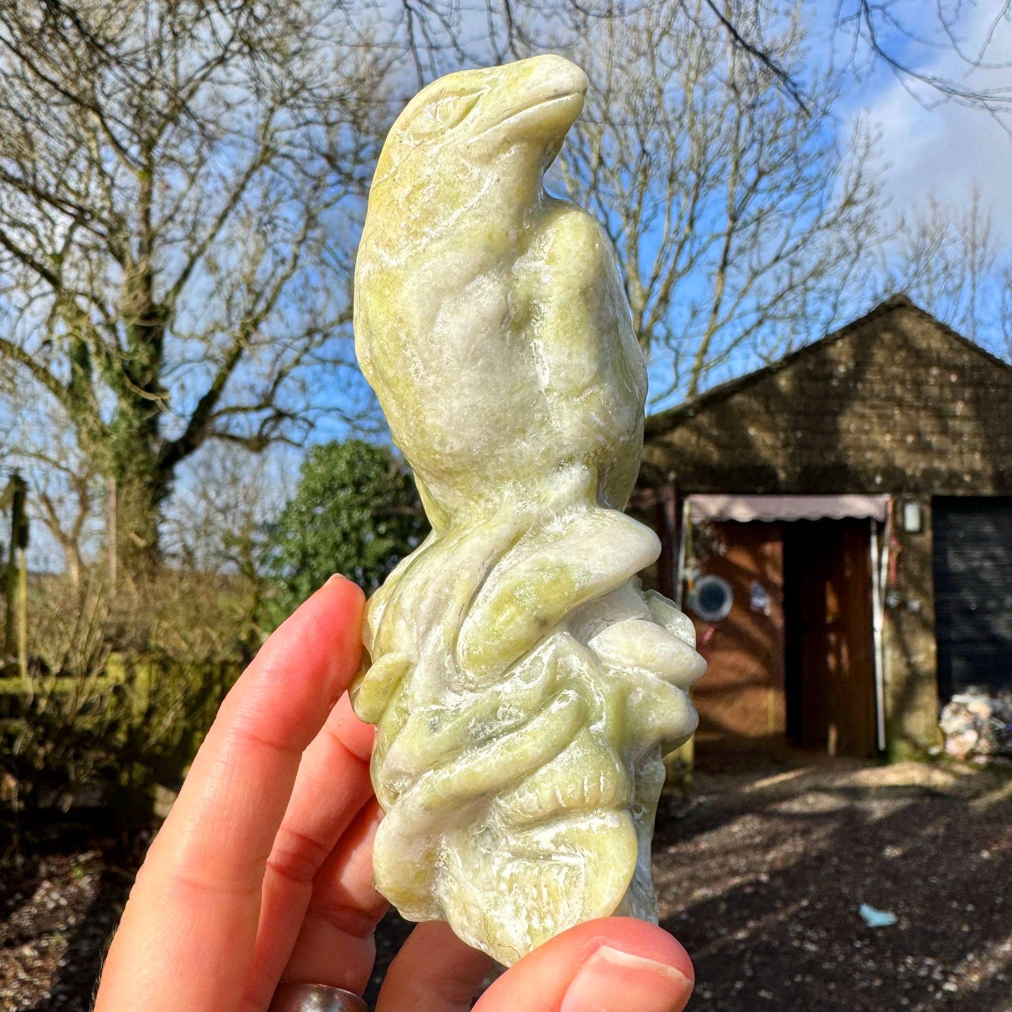 Crow on skull carving 10.4cm called Norse Jade stone crystal