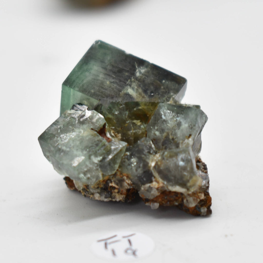 Diana Maria Fluorite Raw Crystal Cluster - 8 Sizes