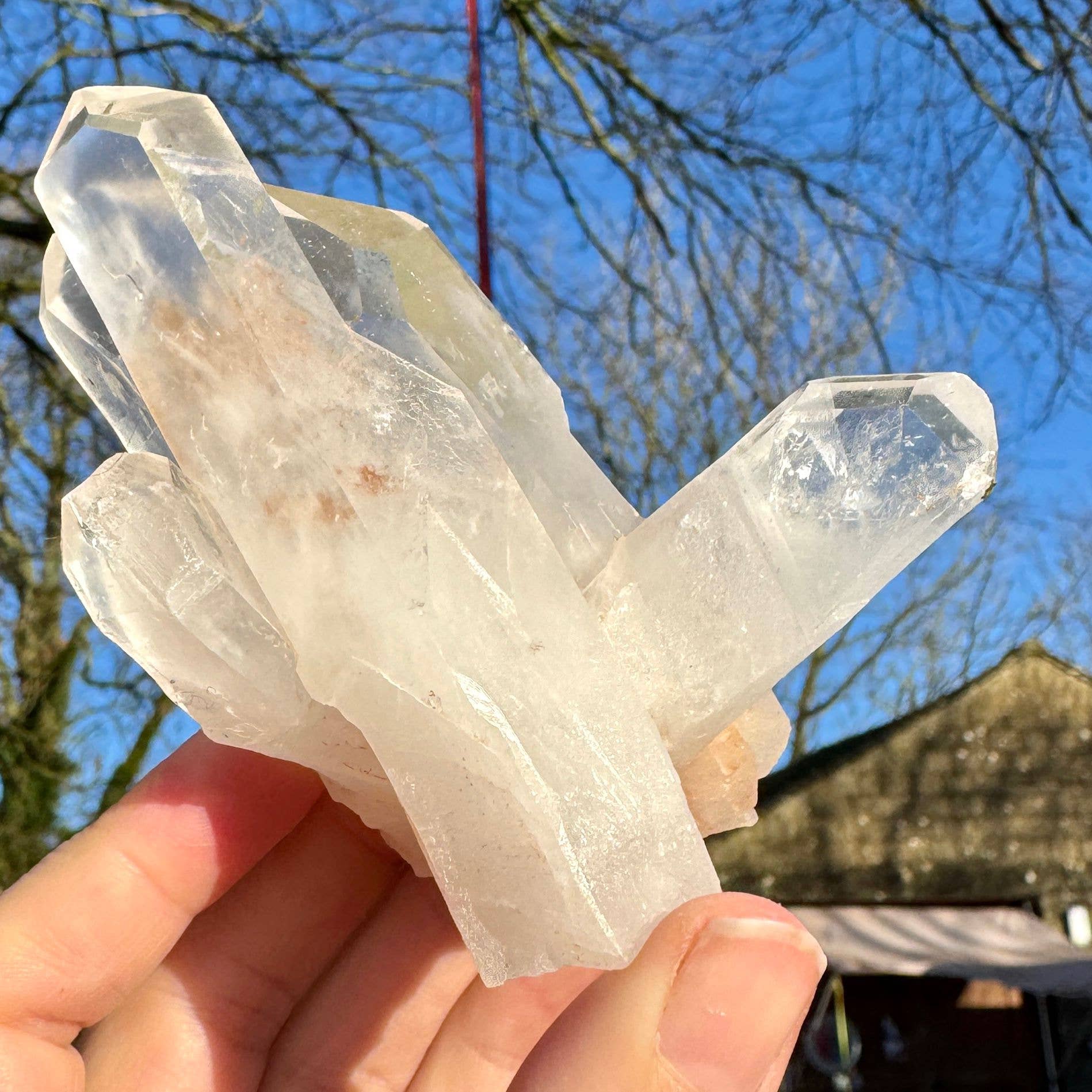 Quartz cluster 10cm called Reagan Clear Quartz point healer