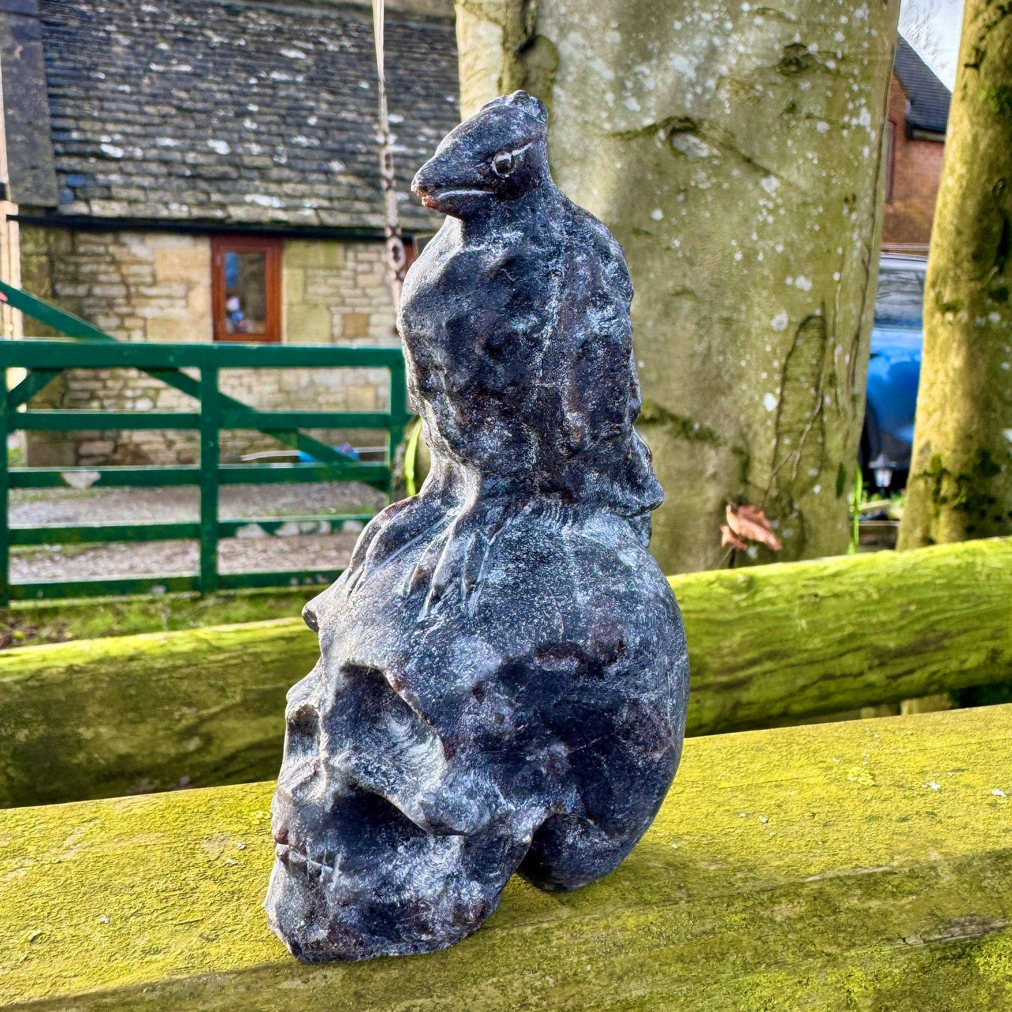 Crow on Skull 10.4cm called Odin Carving in Black Tourmaline