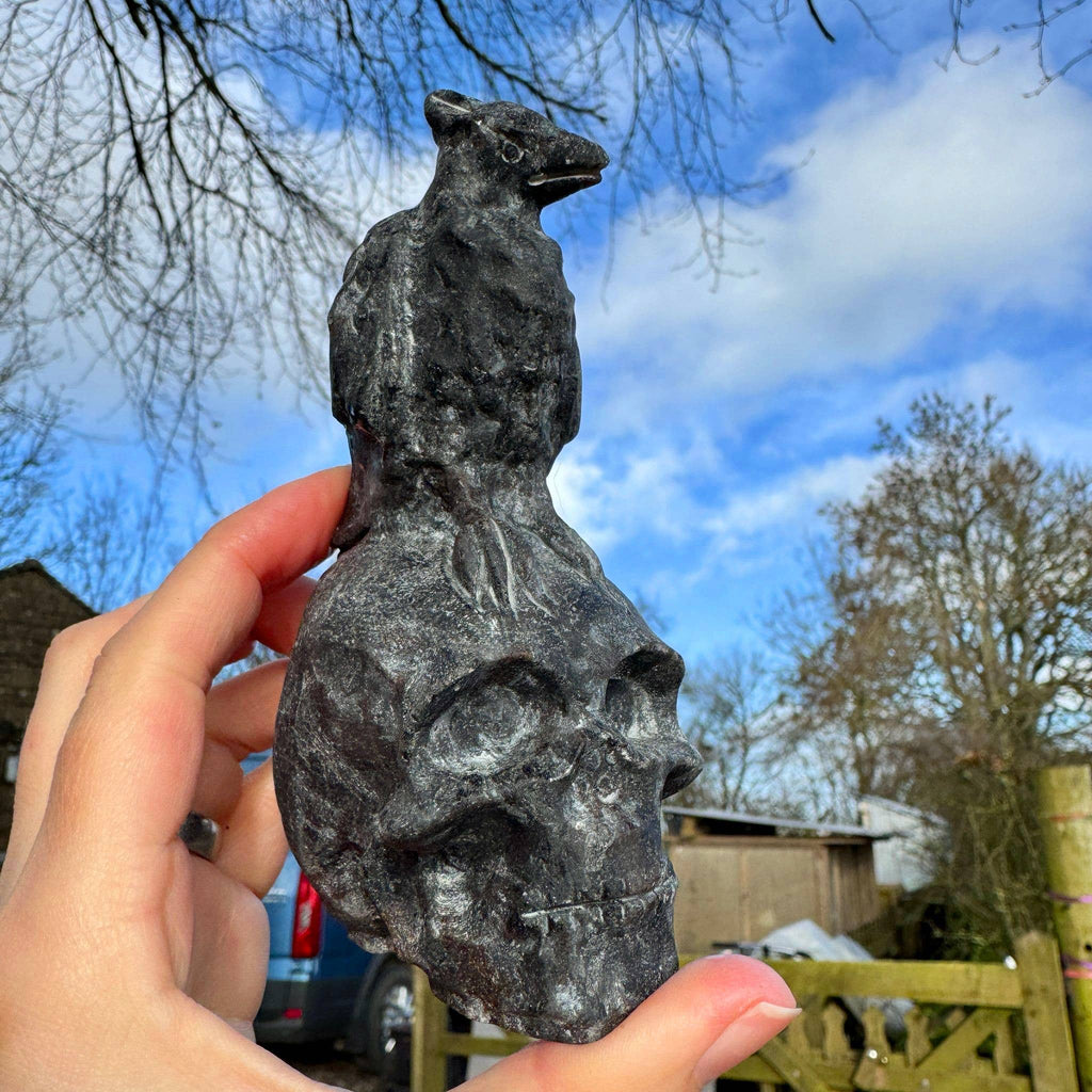 Crow on Skull 10.4cm called Odin Carving in Black Tourmaline