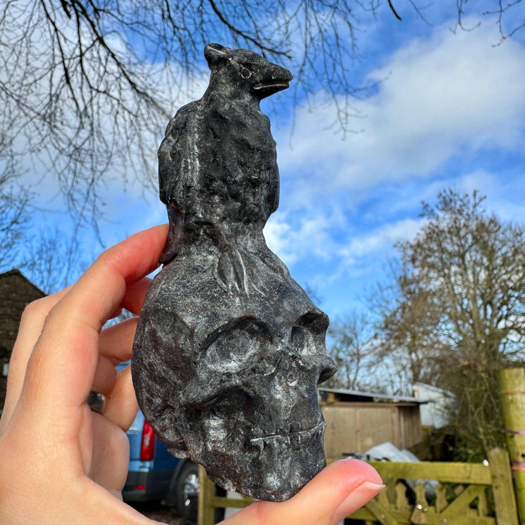Crow on Skull 10.4cm called Odin Carving in Black Tourmaline