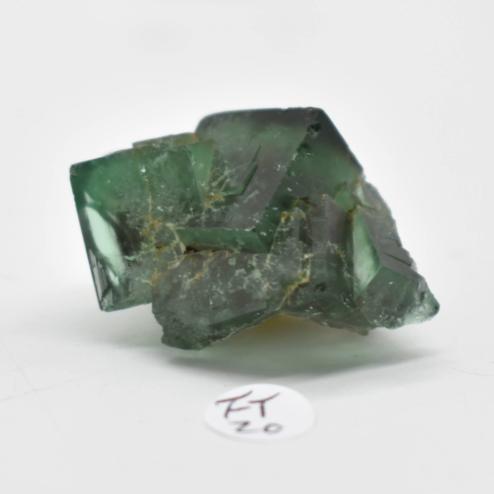 Diana Maria Fluorite Raw Crystal Cluster - 8 Sizes