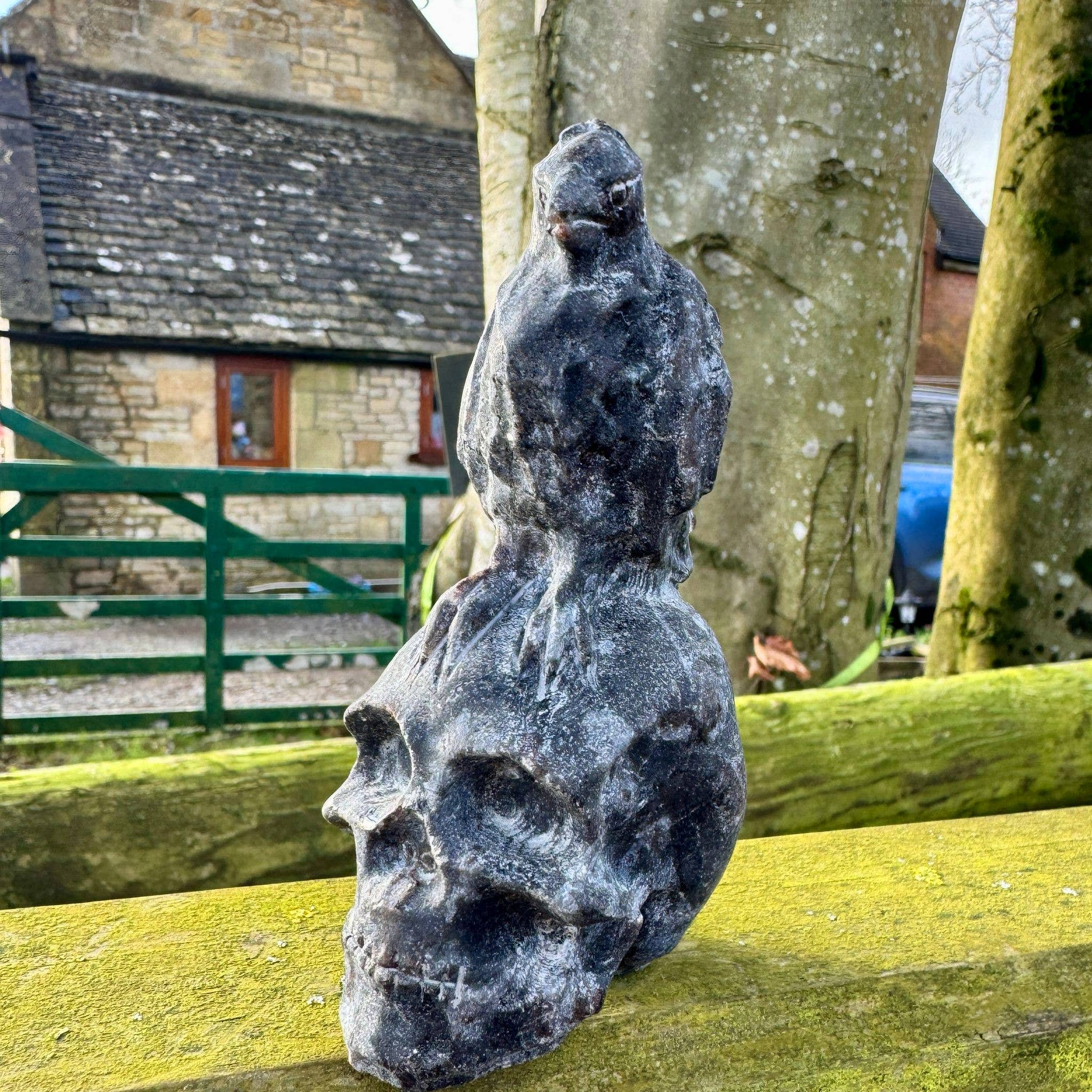 Crow on Skull 10.4cm called Odin Carving in Black Tourmaline
