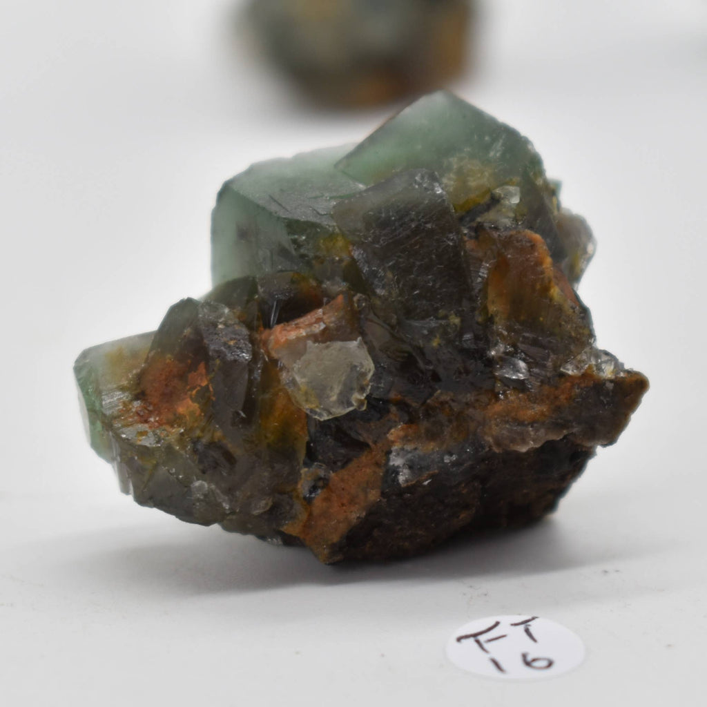 Diana Maria Fluorite Raw Crystal Cluster - 8 Sizes