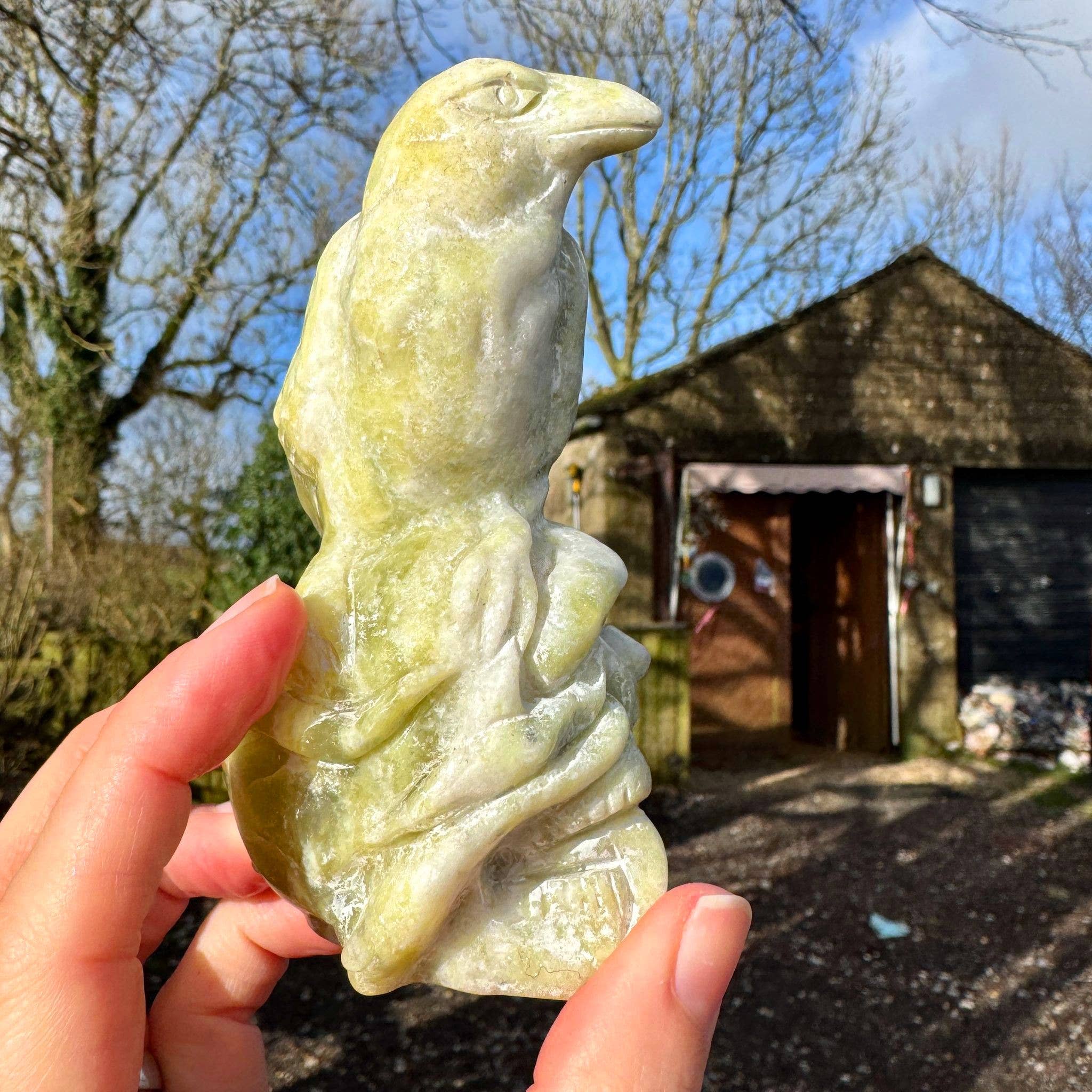 Crow on skull carving 10.4cm called Norse Jade stone crystal
