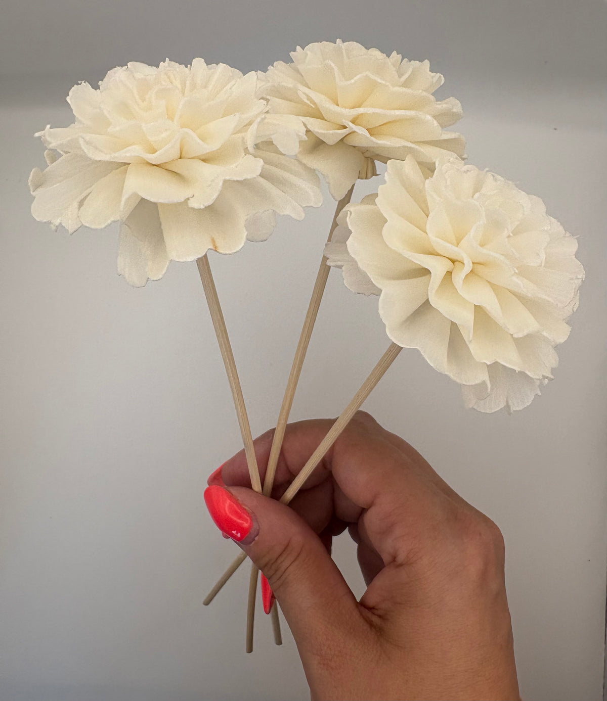 Moon Energy Moonstone Infused Fragrance Diffuser