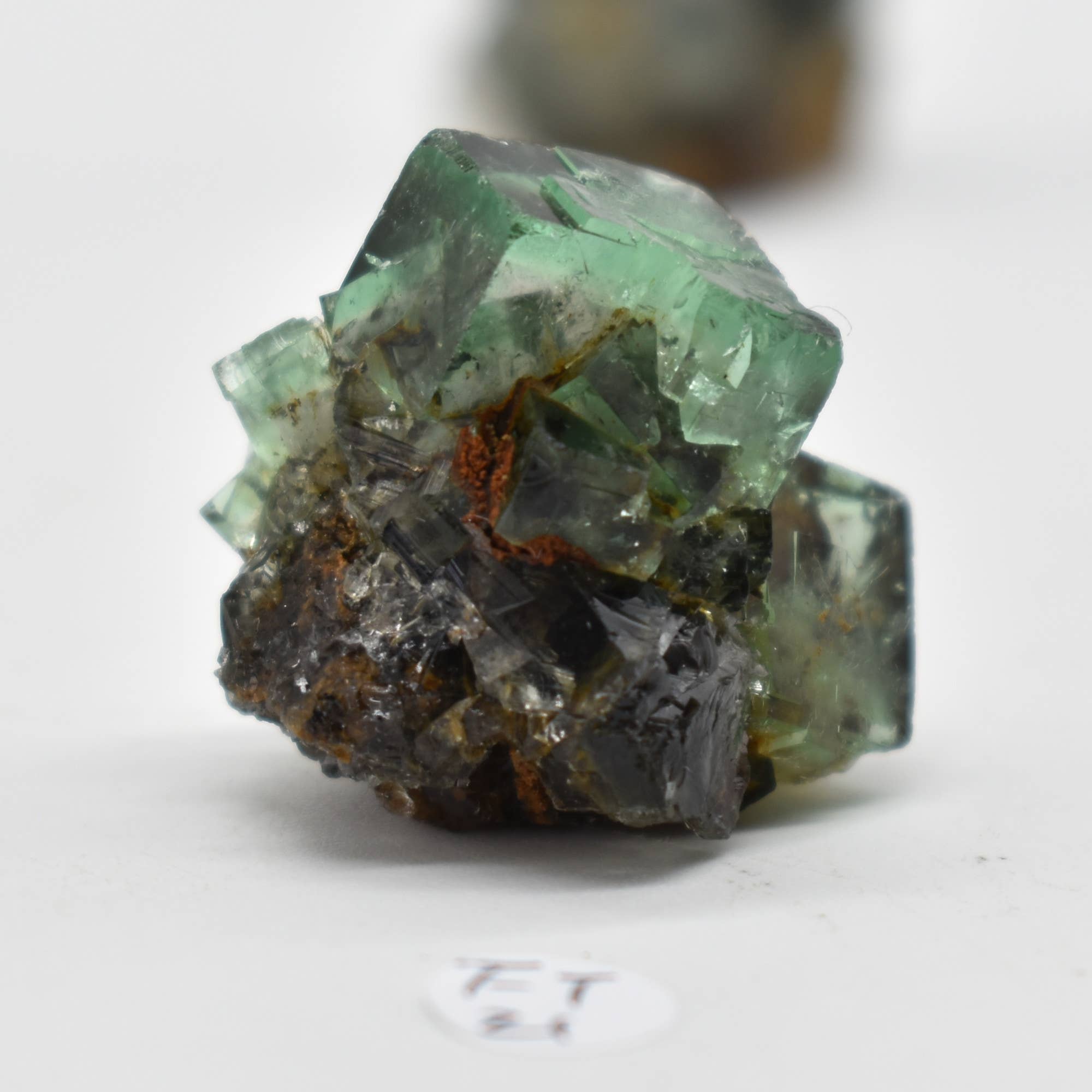 Diana Maria Fluorite Raw Crystal Cluster - 8 Sizes