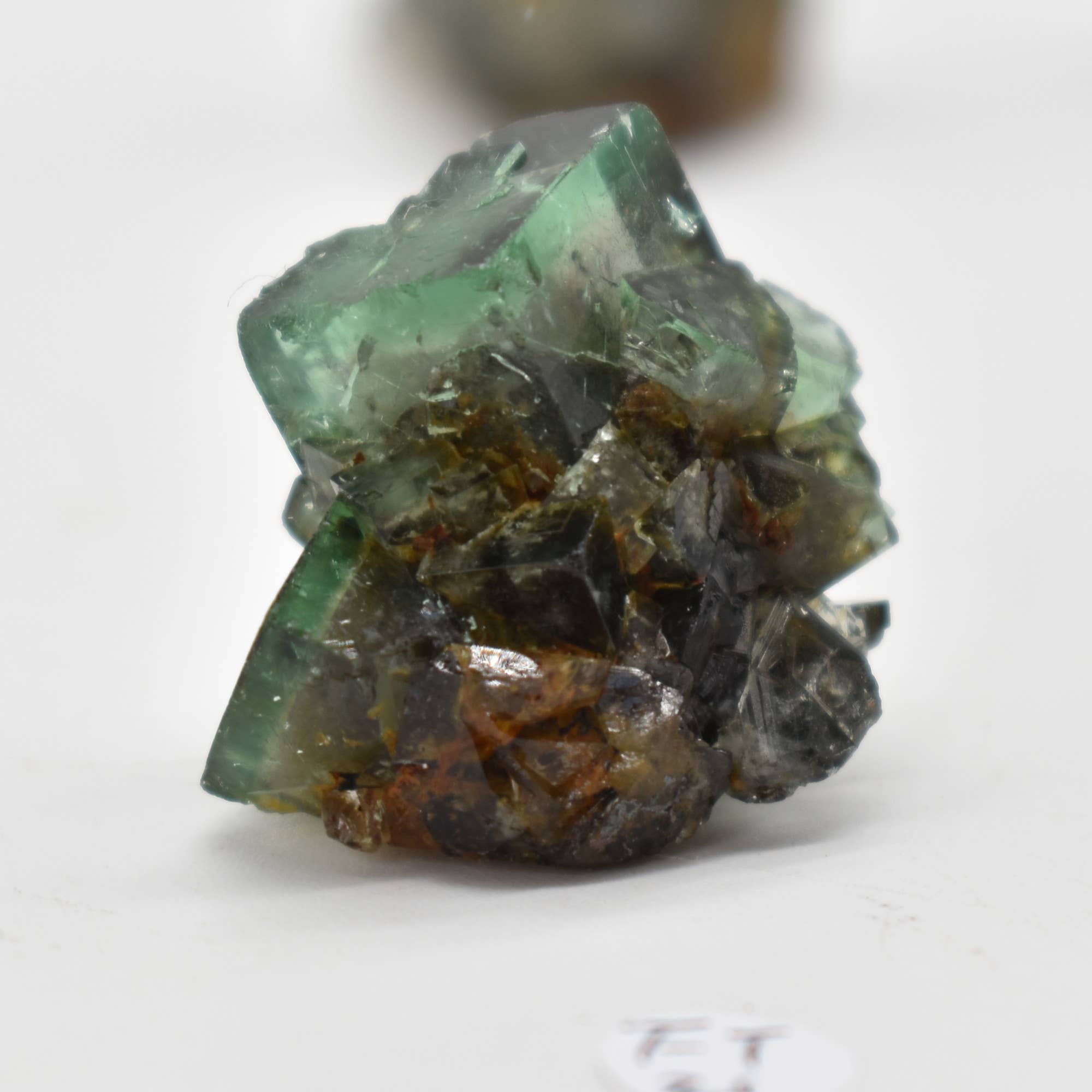 Diana Maria Fluorite Raw Crystal Cluster - 8 Sizes