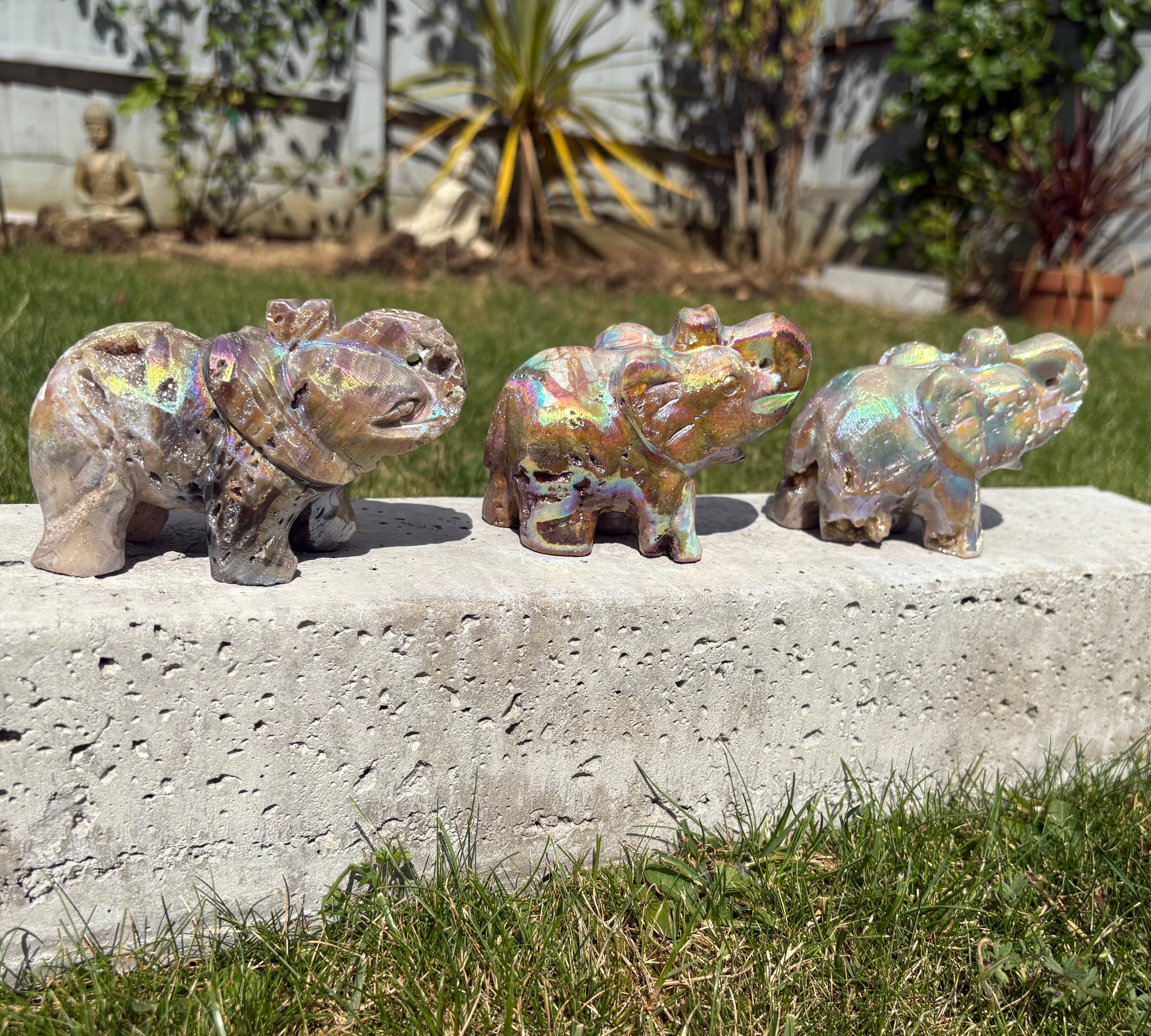 Aura Sphalerite elephants