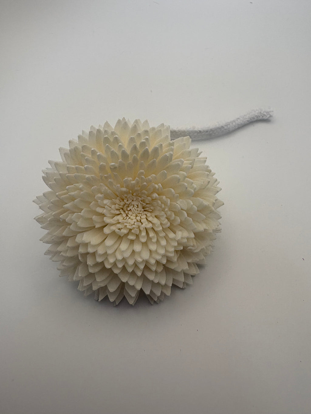 Self Love Crystal Infused Fragrance Diffusser with rope flower
