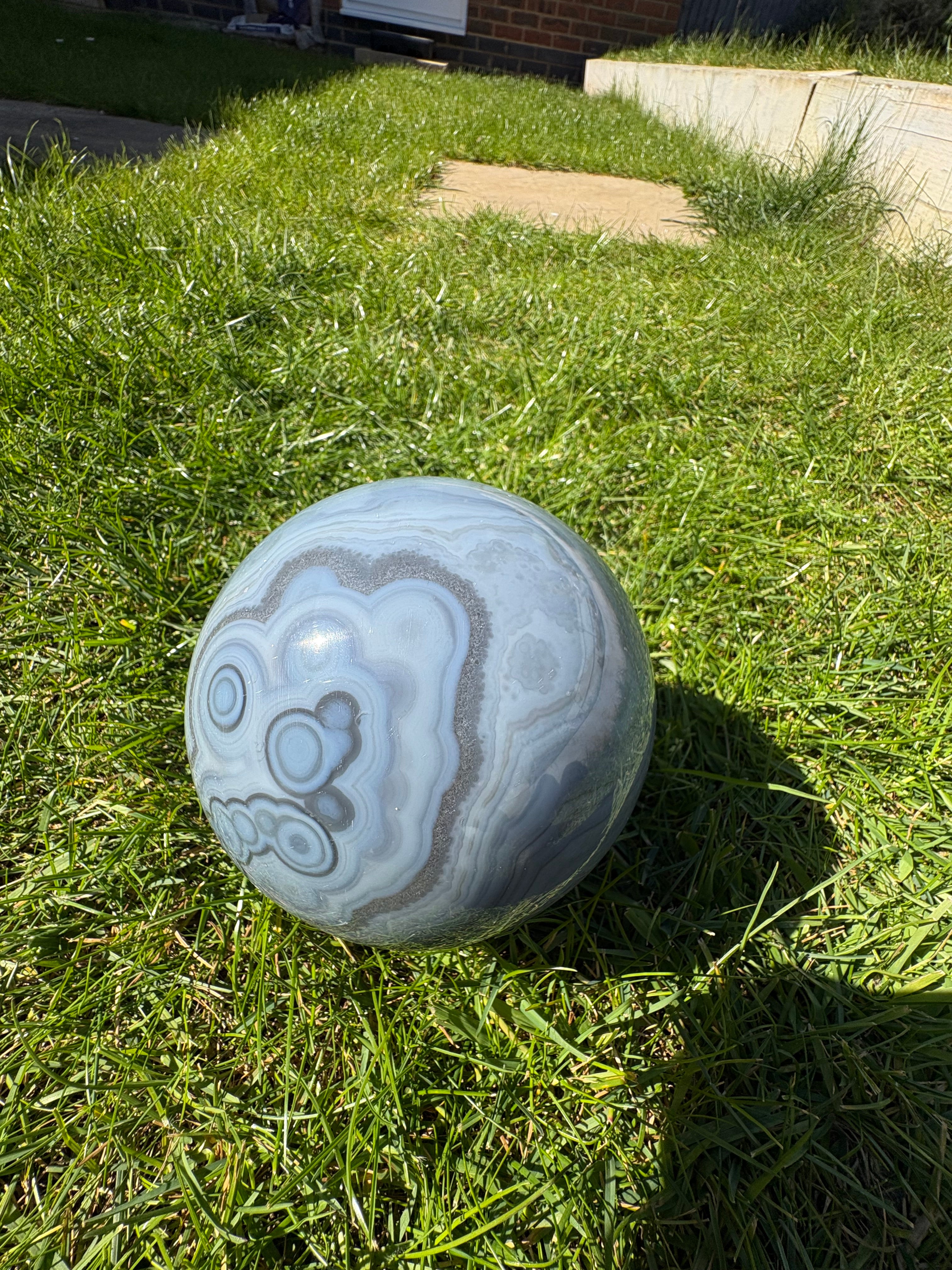 RARE! XL Blue Lace Agate Amethyst Druzy Sphere on wooden stand