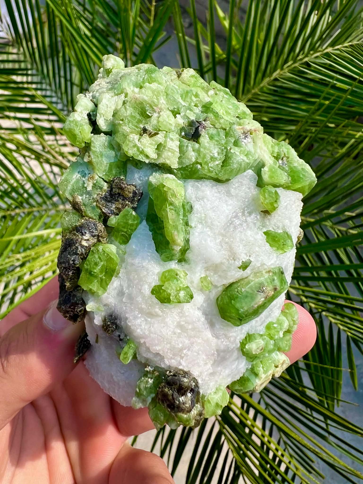 Green Diopside Cluster Beautiful Vibrant Green Embedded in Calcite 606g