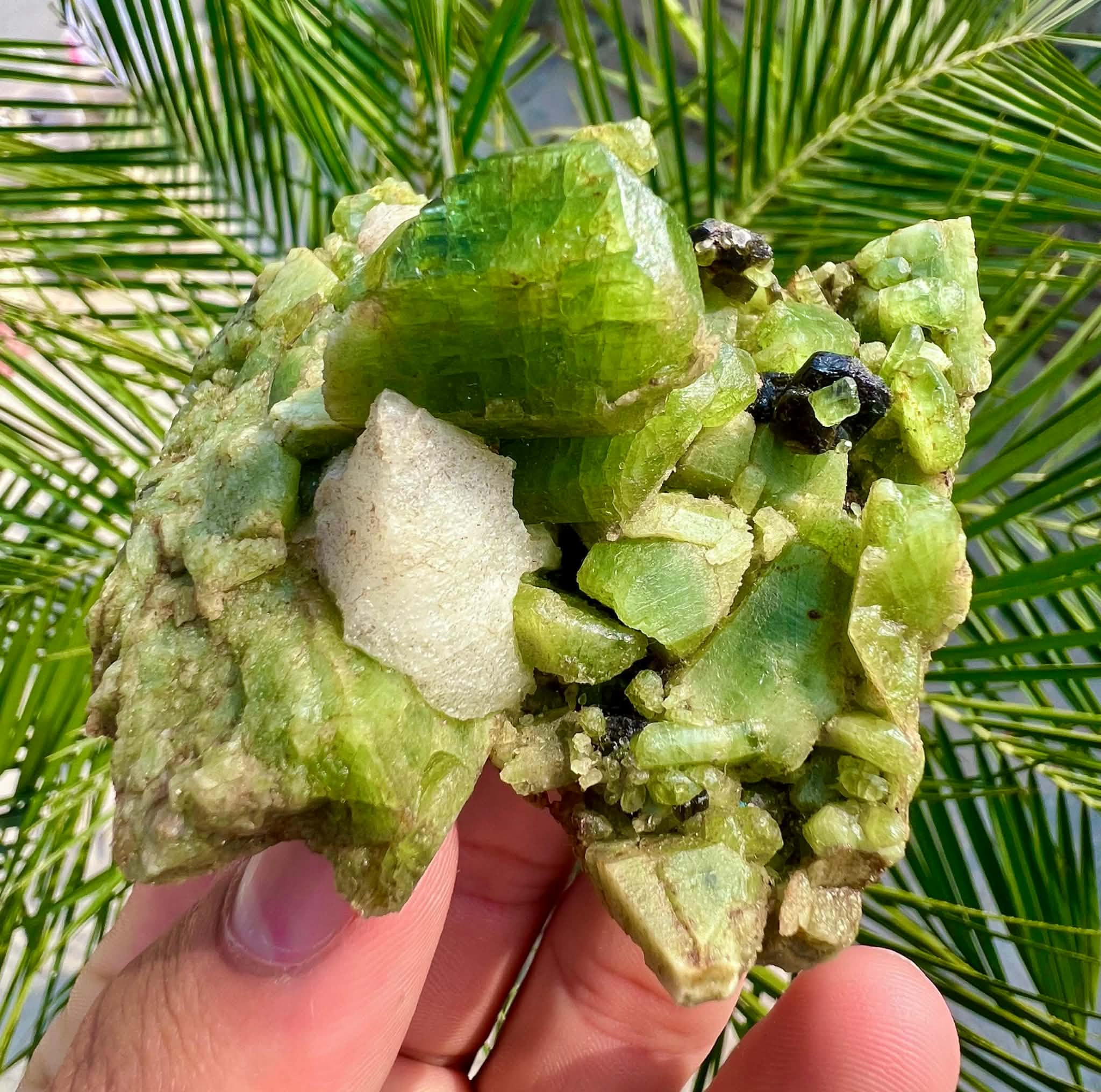 Green Diopside Cluster Beautiful Vibrant Green Embedded in Calcite 606g