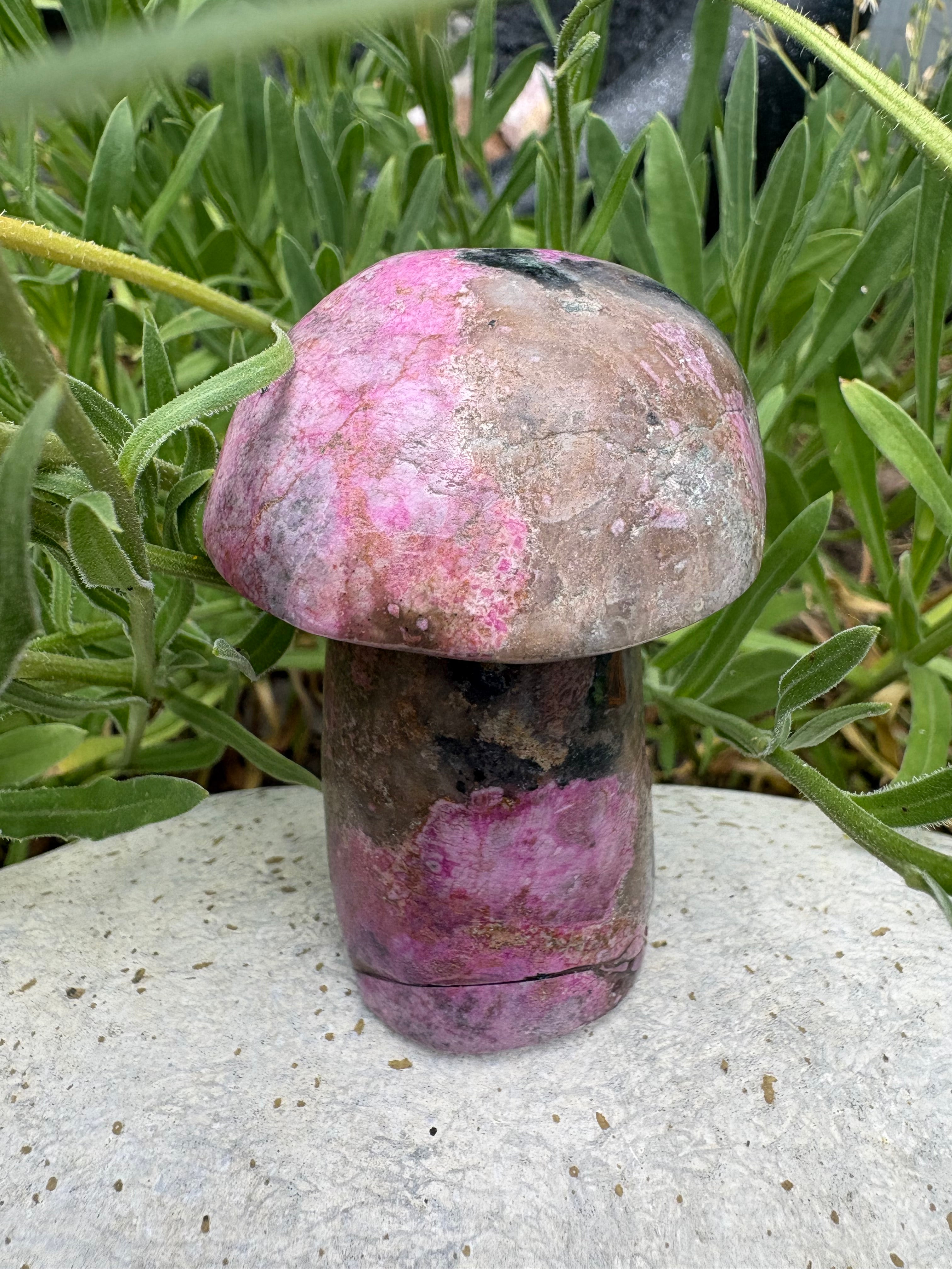 Mexican cobalto calcite mushrooms