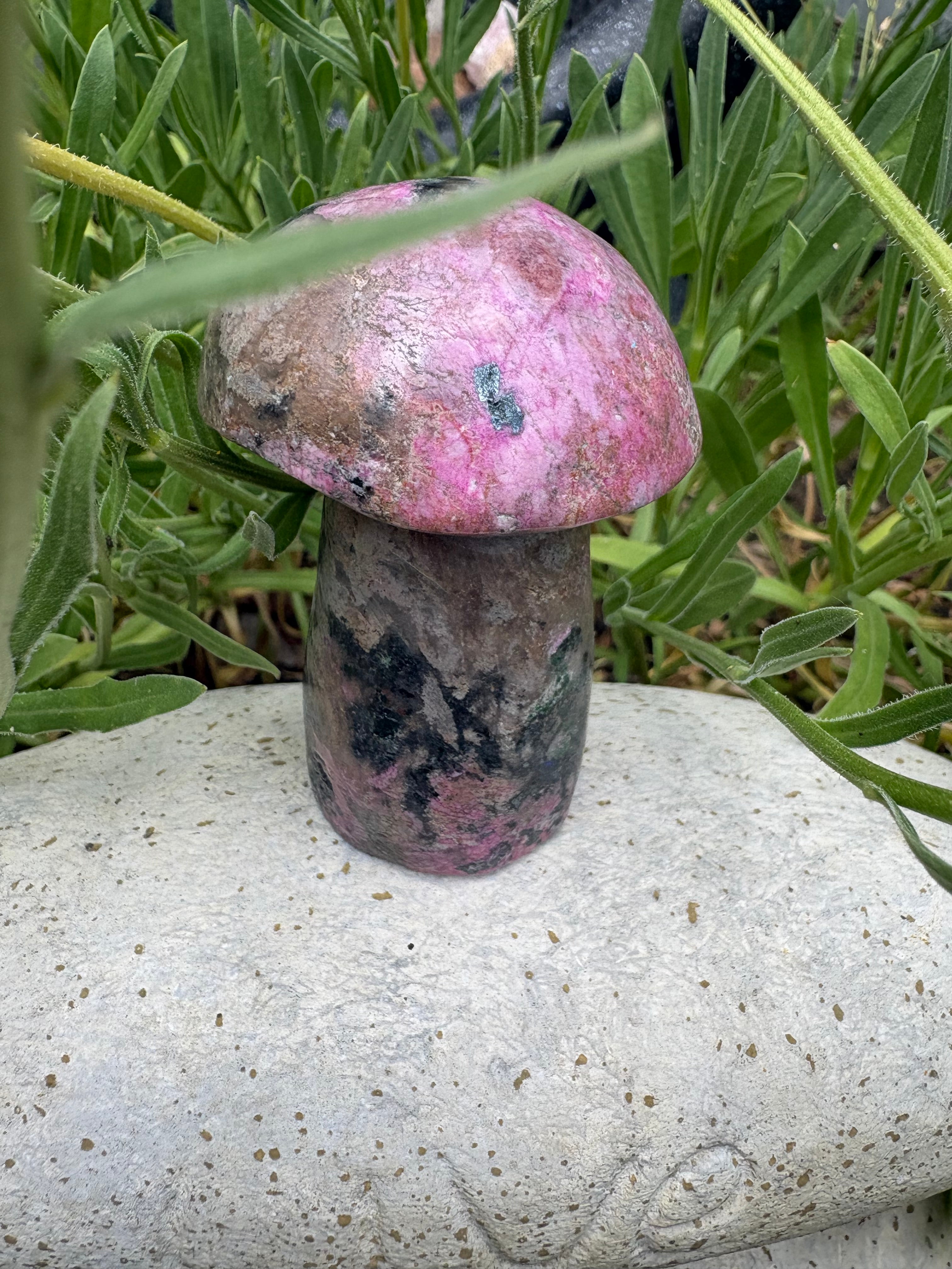Mexican cobalto calcite mushrooms