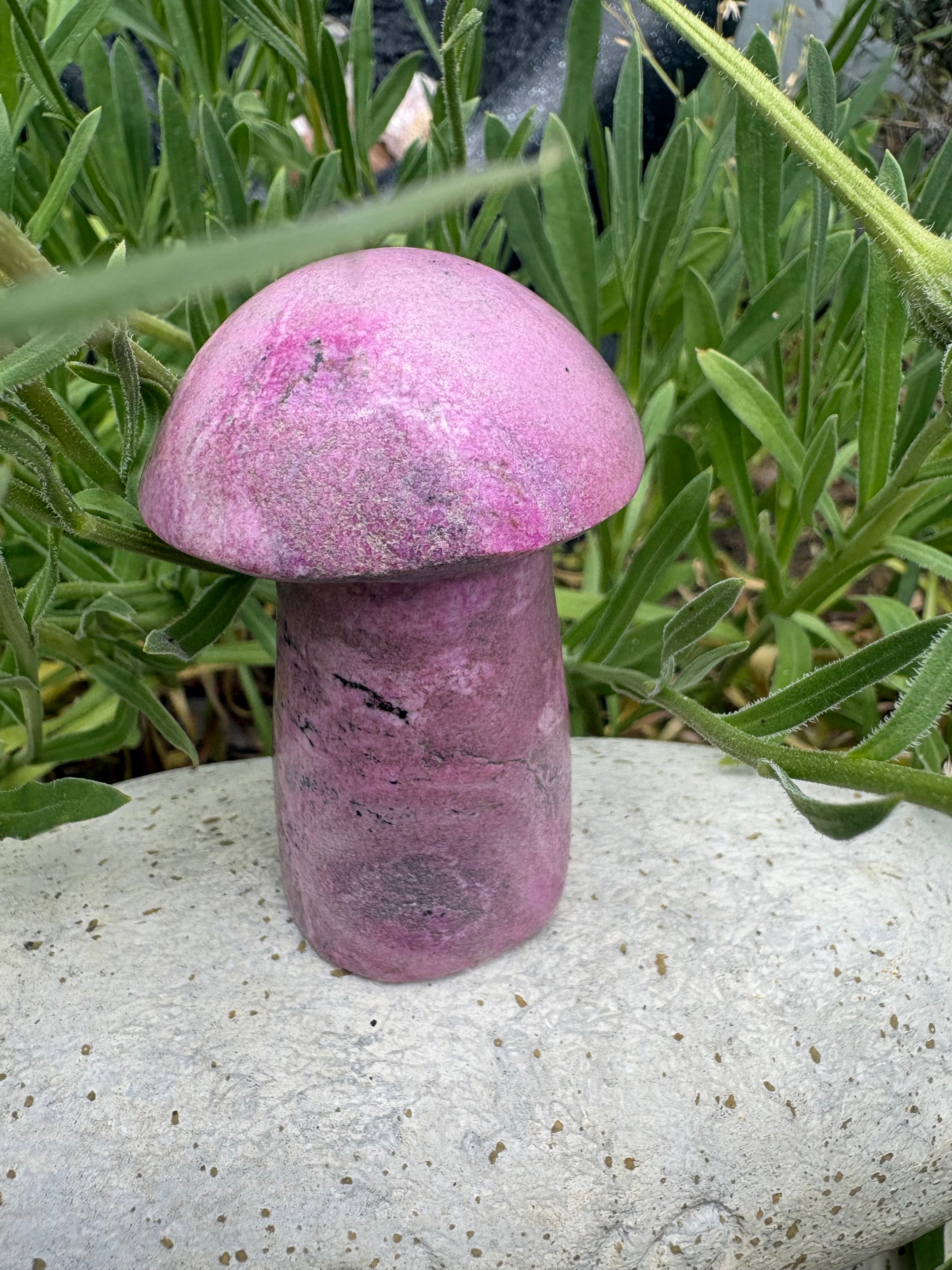 Mexican cobalto calcite mushrooms