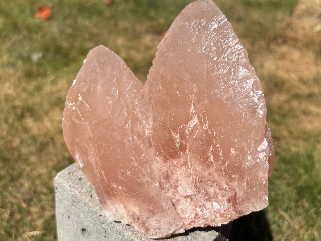 Pink swallowtail calcite “Guan Yin” crystal