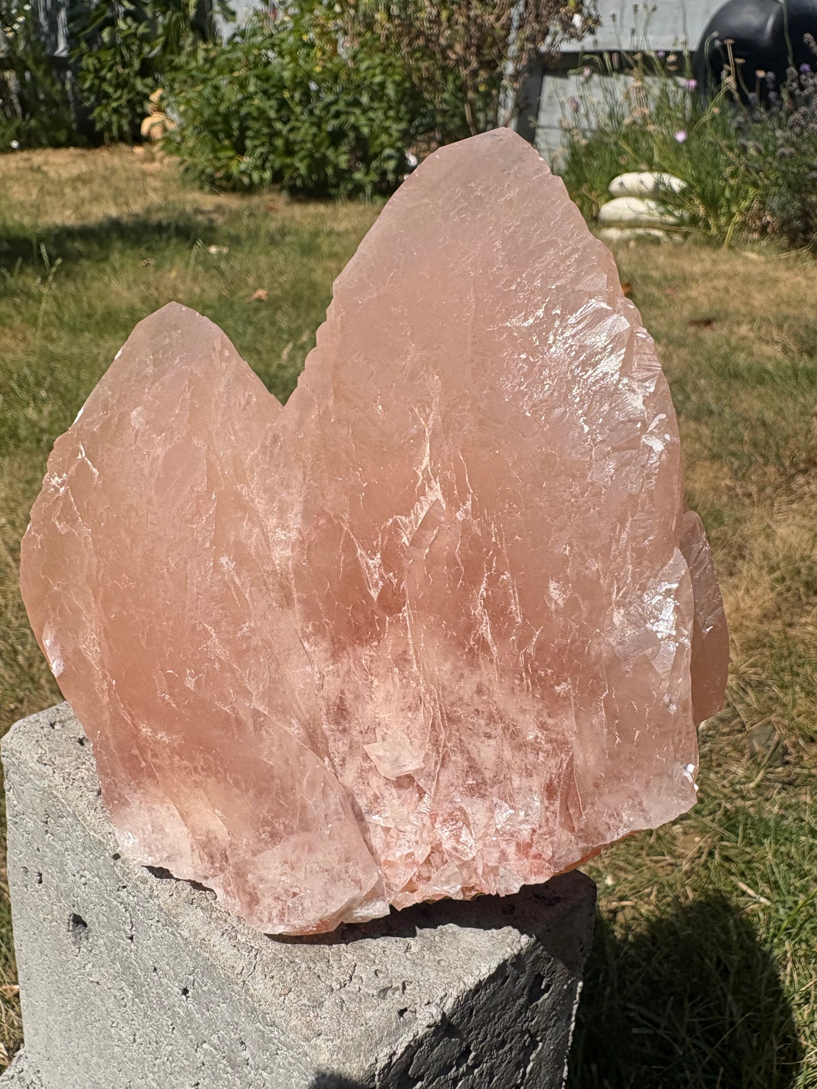 Pink swallowtail calcite “Guan Yin” crystal