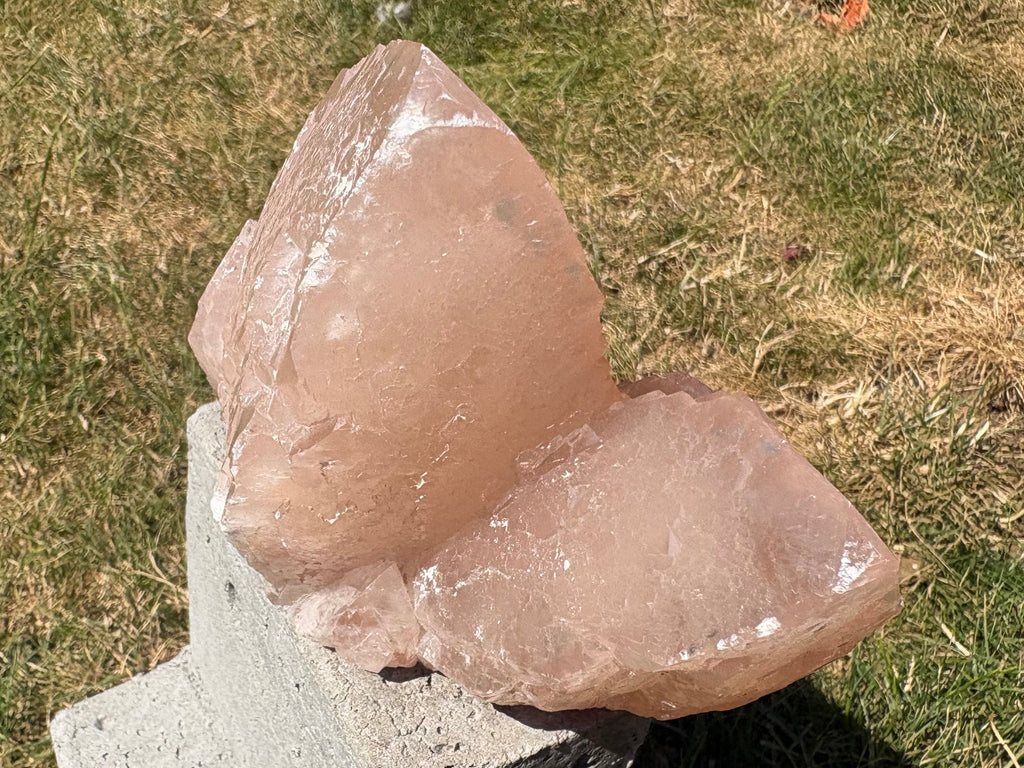 Pink swallowtail calcite “Guan Yin” crystal
