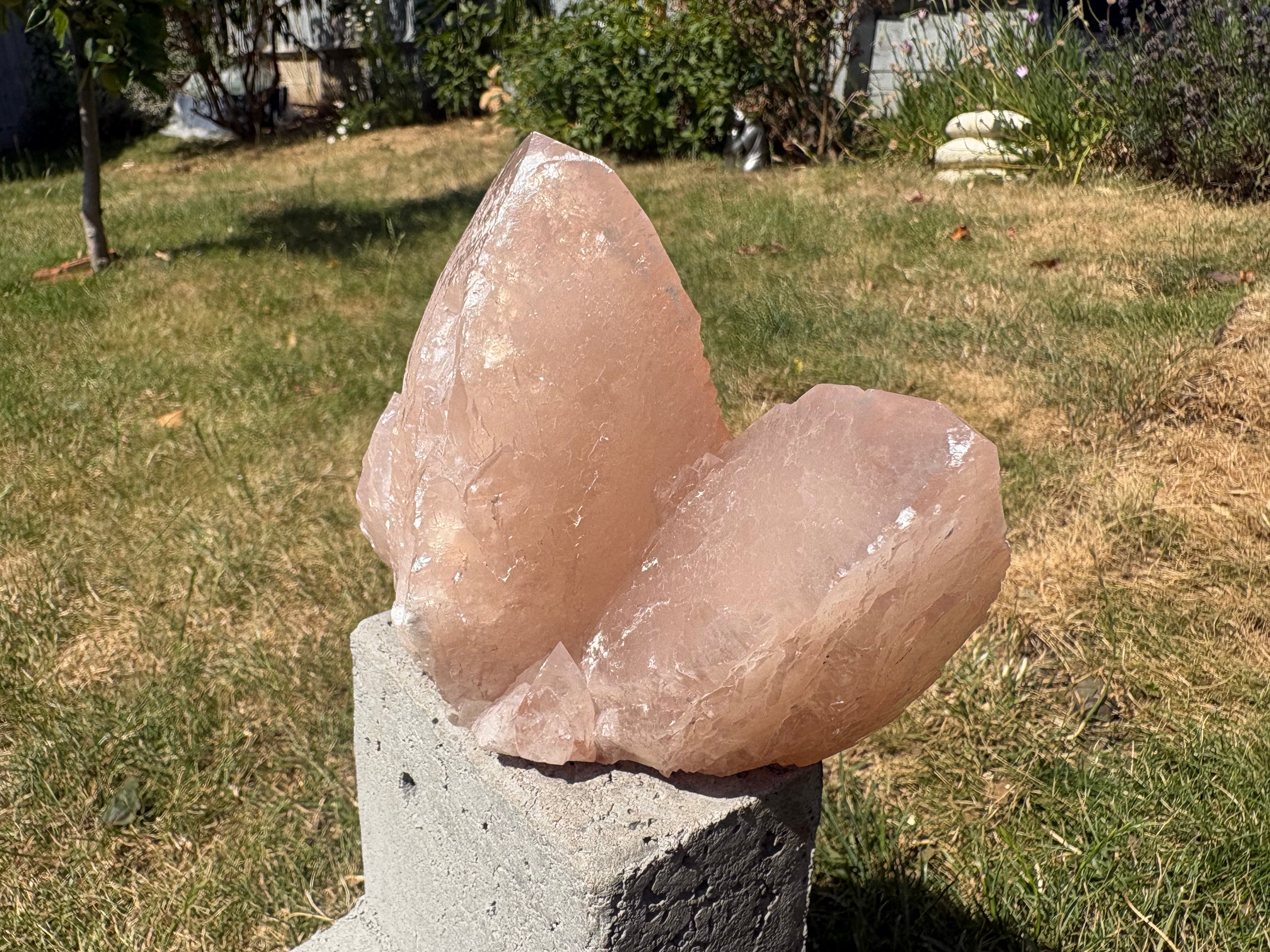 Pink swallowtail calcite “Guan Yin” crystal