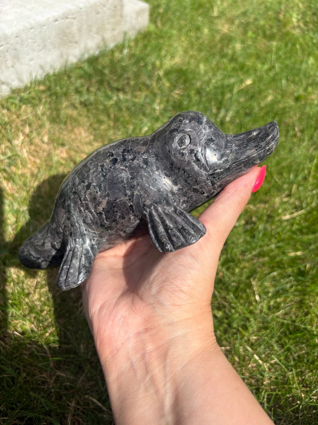 Yoopalite Platypus