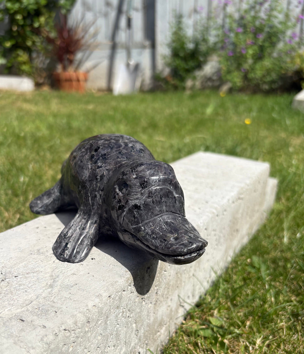 Yoopalite Platypus