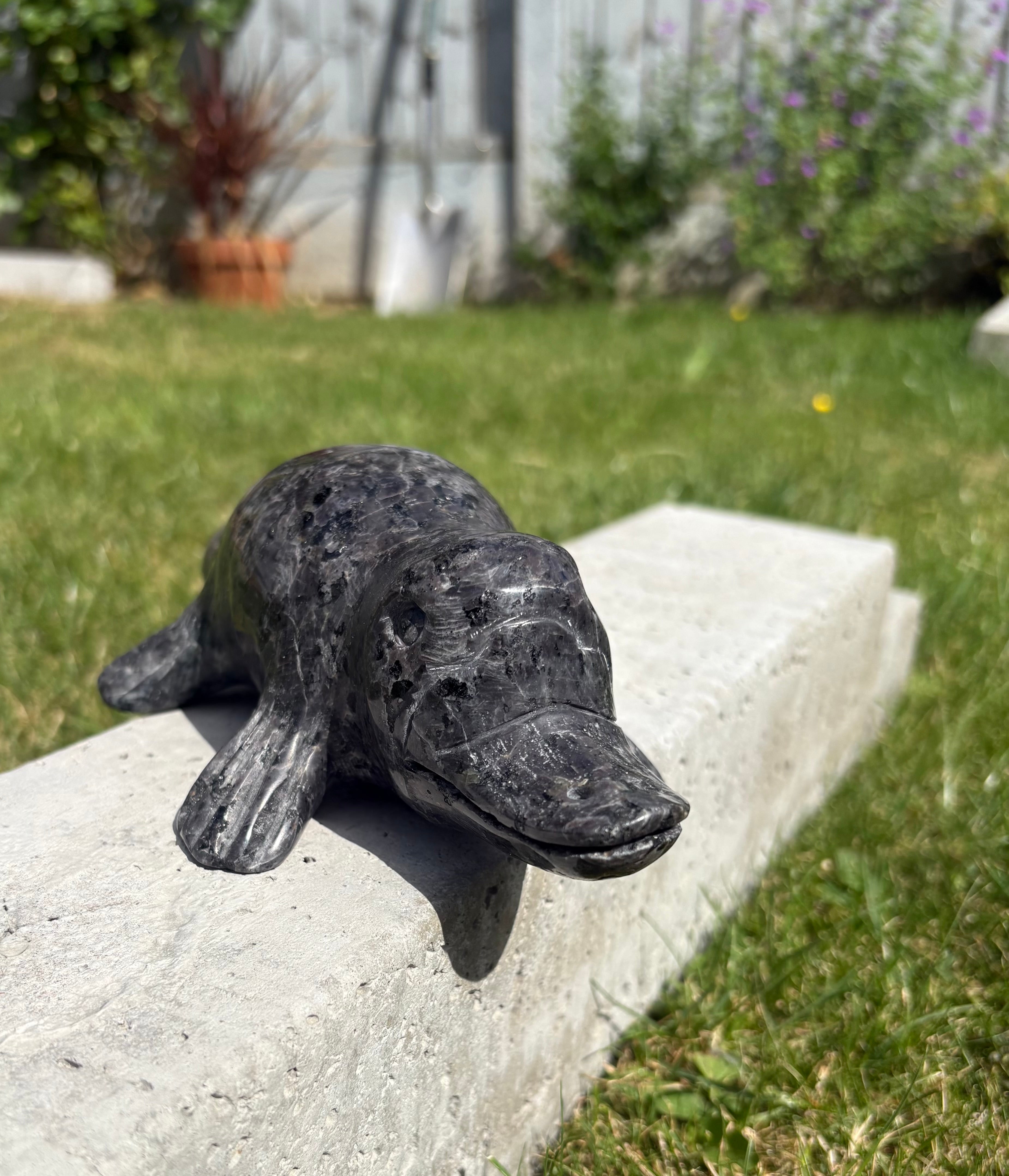 Yoopalite Platypus