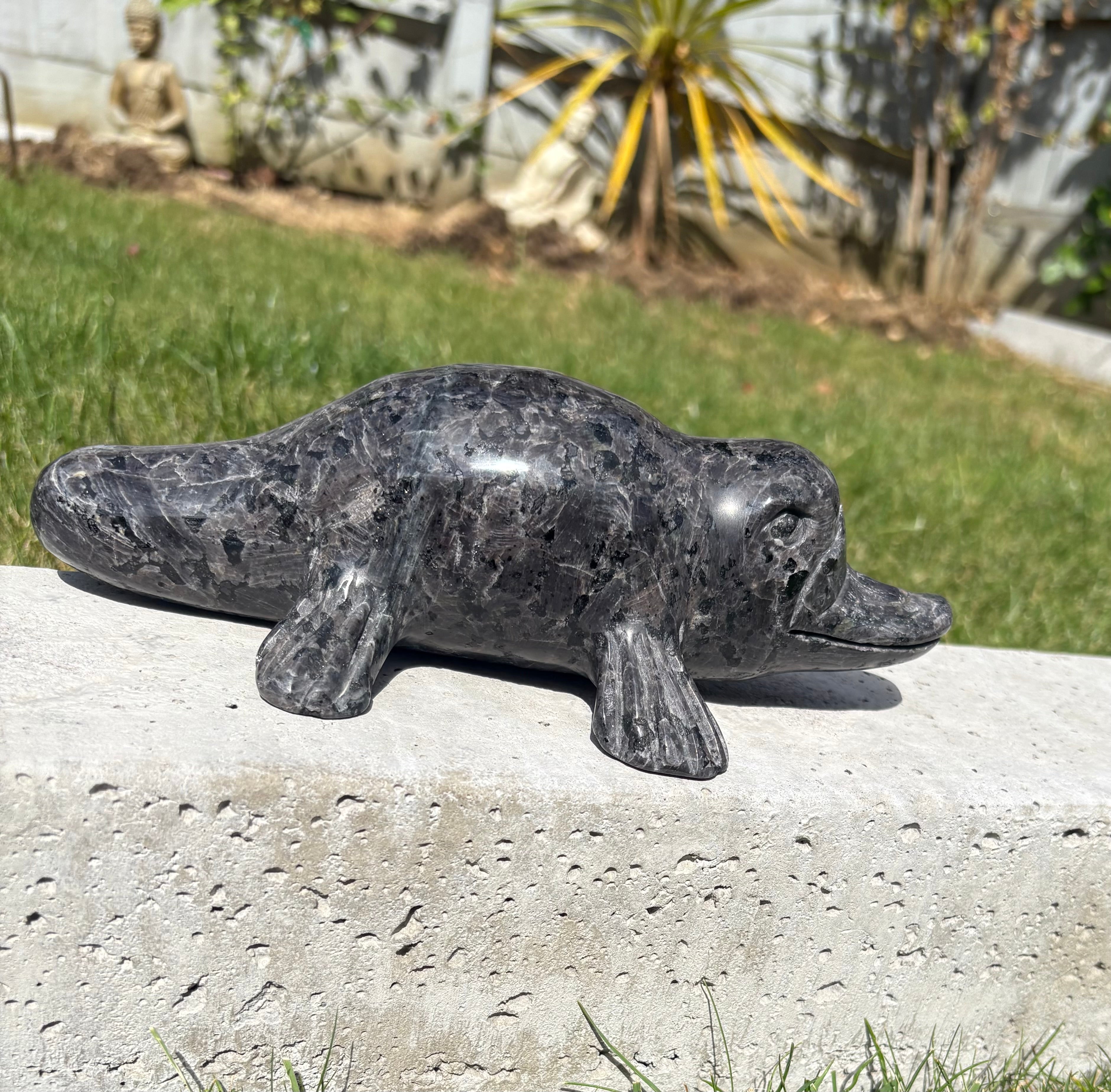 Yoopalite Platypus