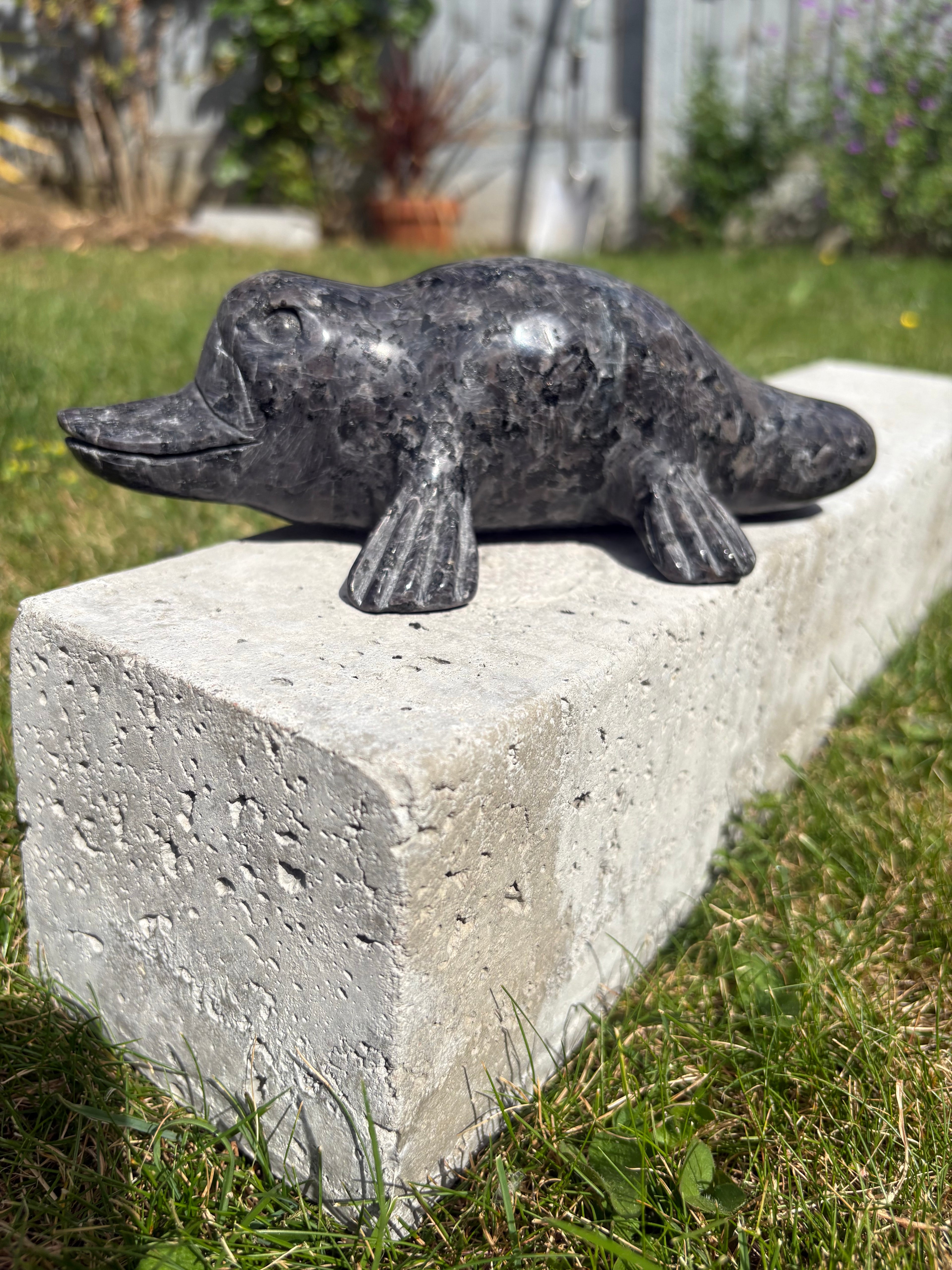 Yoopalite Platypus