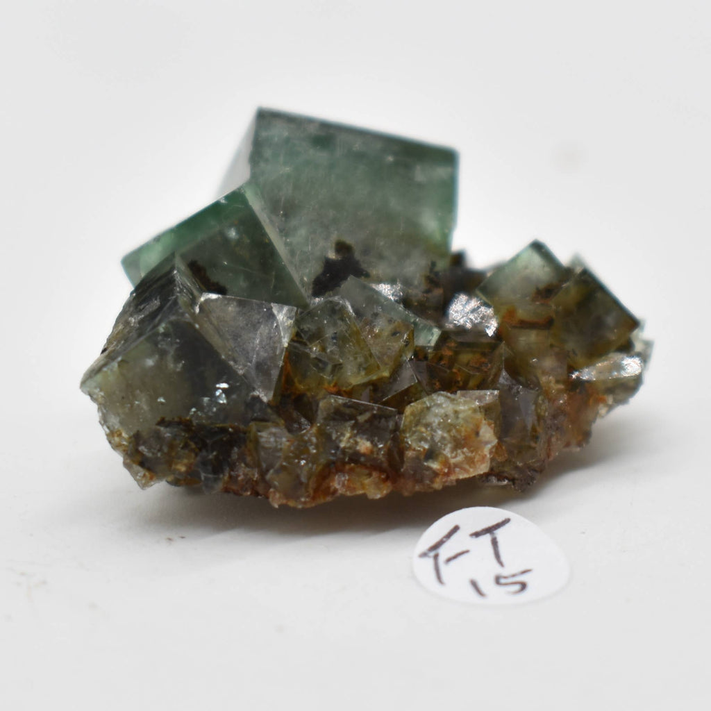 Diana Maria Fluorite Raw Crystal Cluster - 8 Sizes