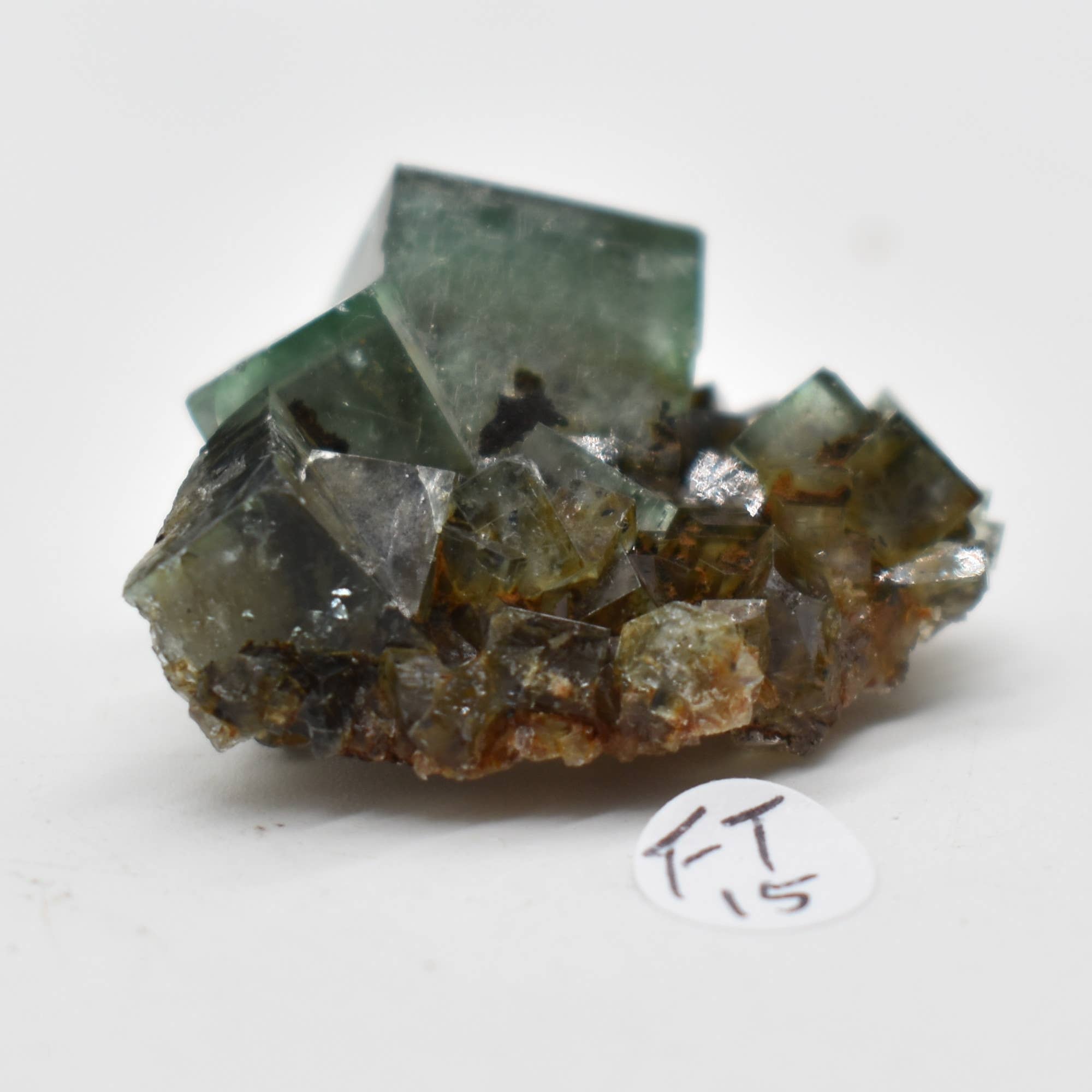 Diana Maria Fluorite Raw Crystal Cluster - 8 Sizes