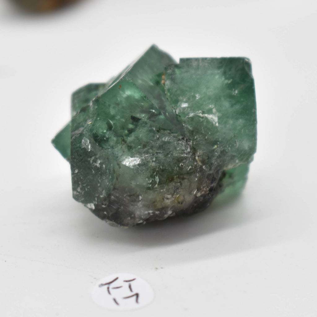 Diana Maria Fluorite Raw Crystal Cluster - 8 Sizes