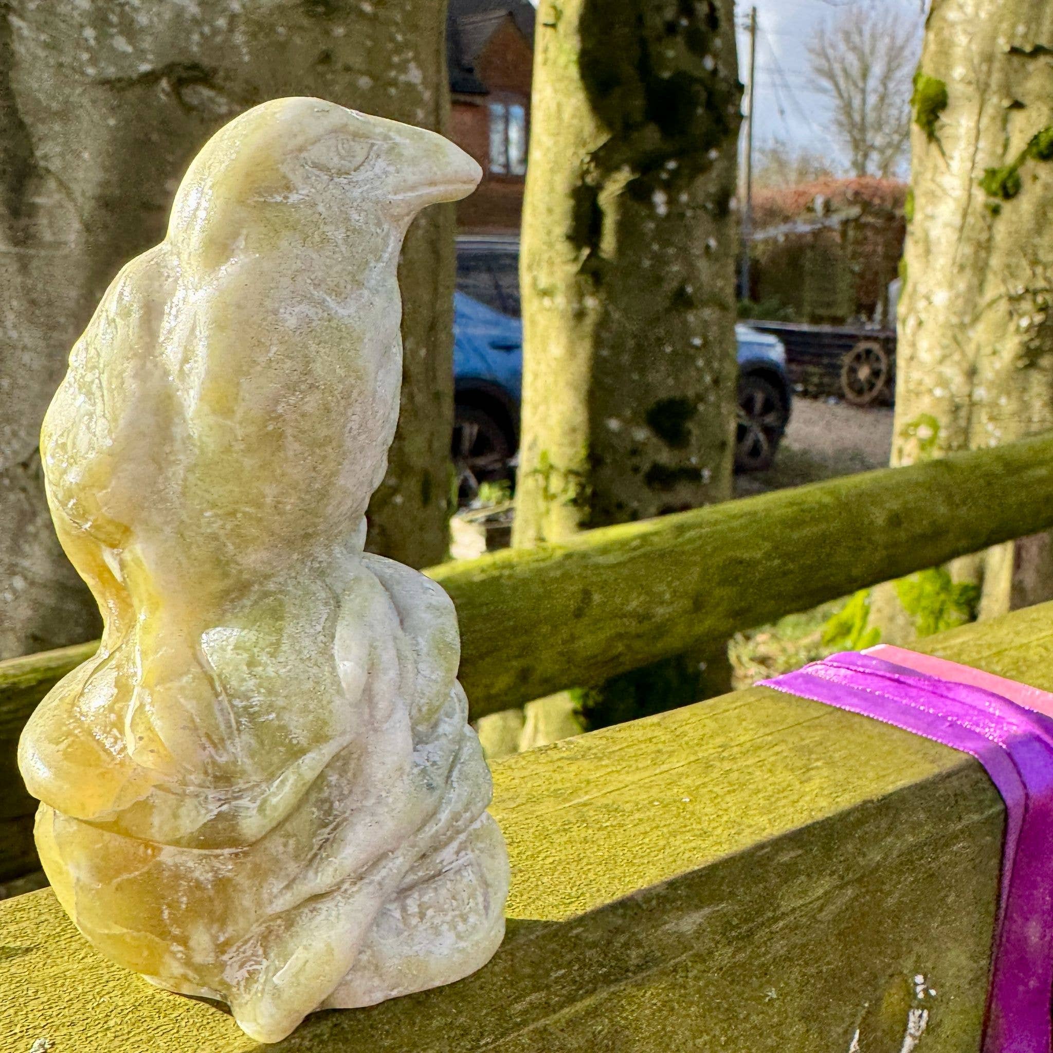 Crow on skull carving 10.4cm called Norse Jade stone crystal